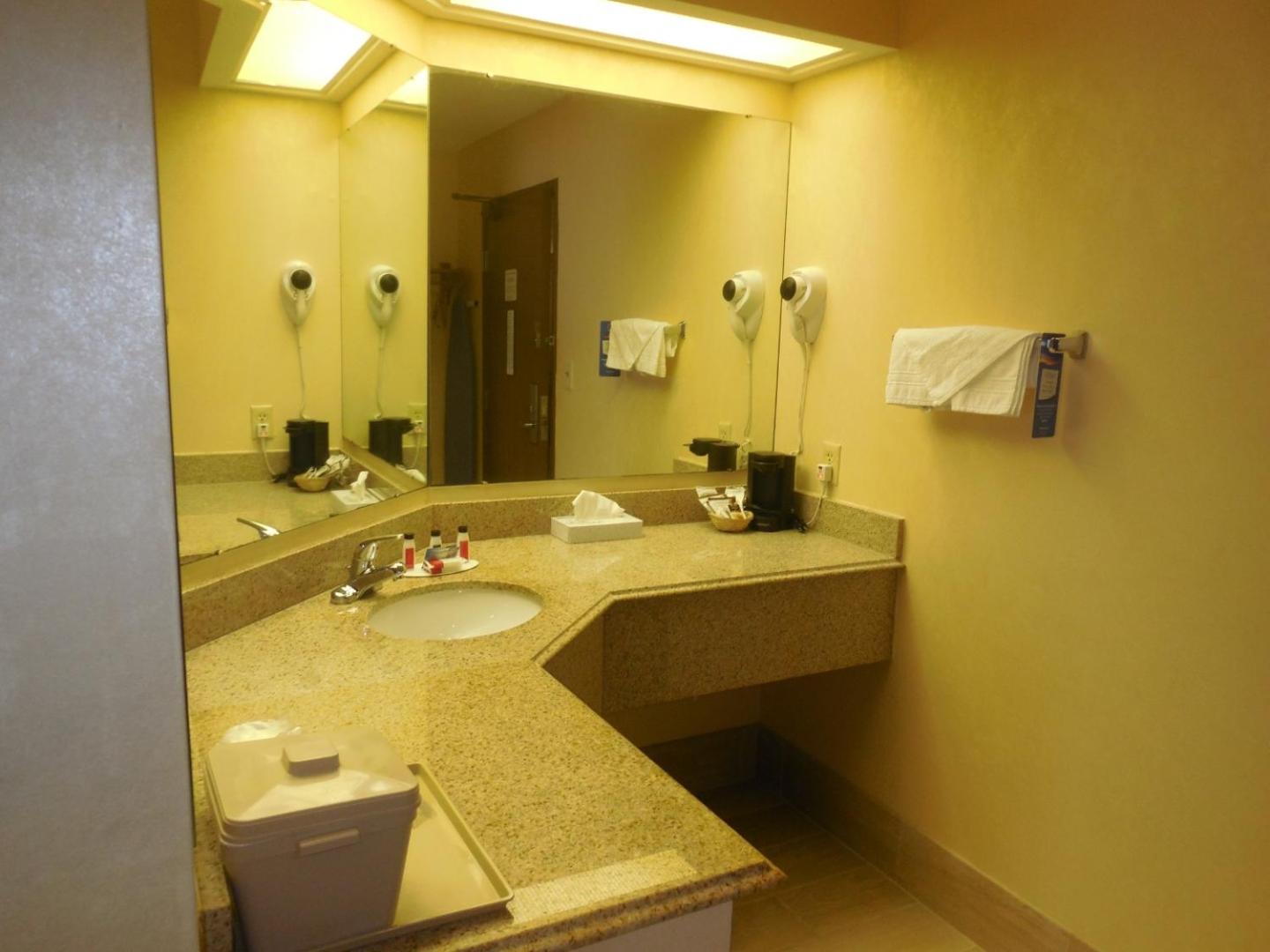 Deluxe King Studio Suite - Non-Smoking - Photo 4