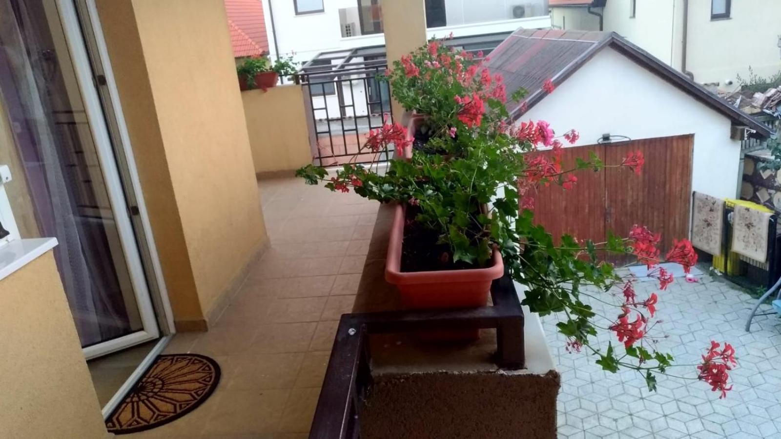 Triple Room with Balcony - Photo 17