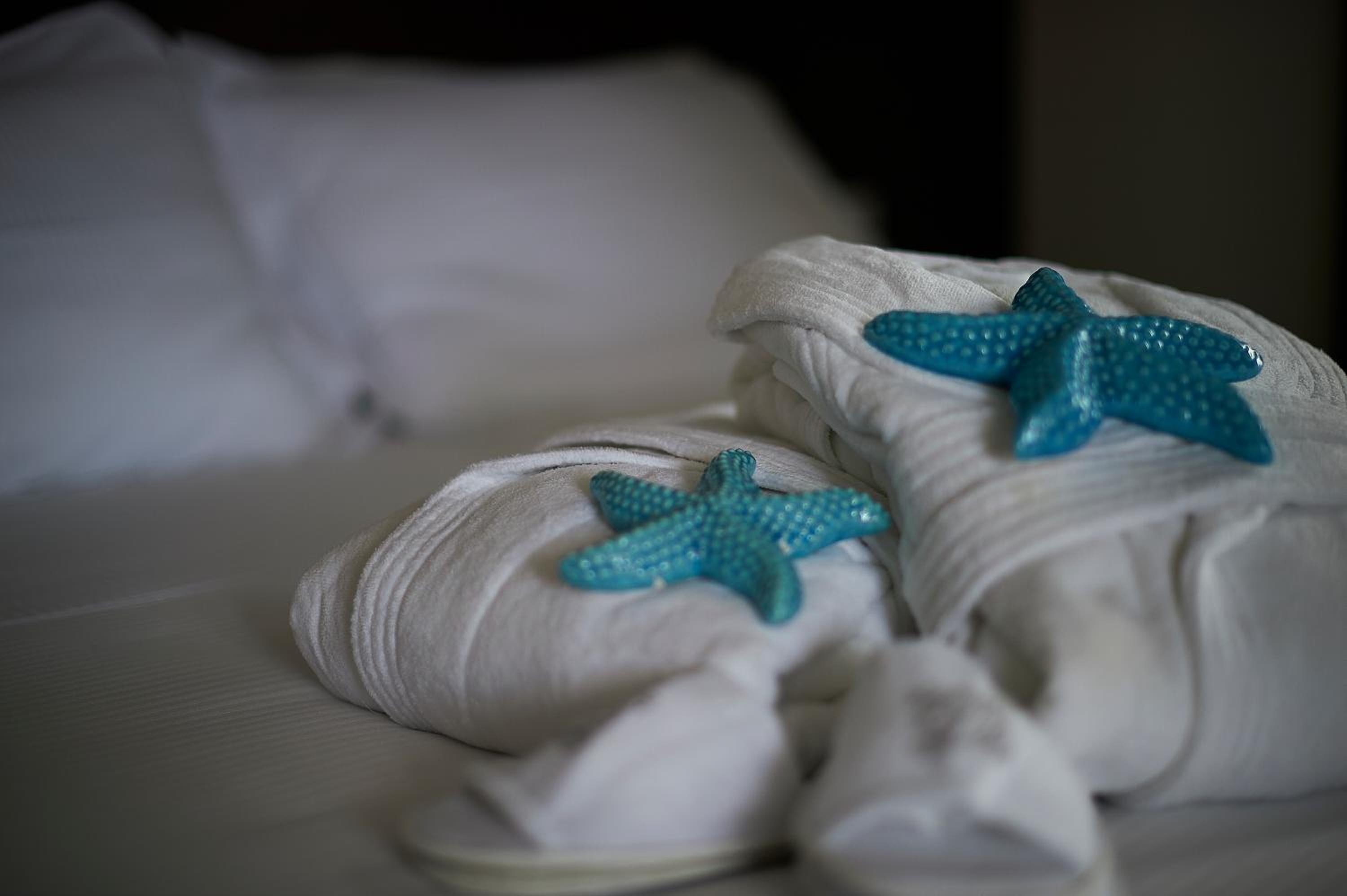 Classic Double or Twin Room with Spa Access - Photo 11