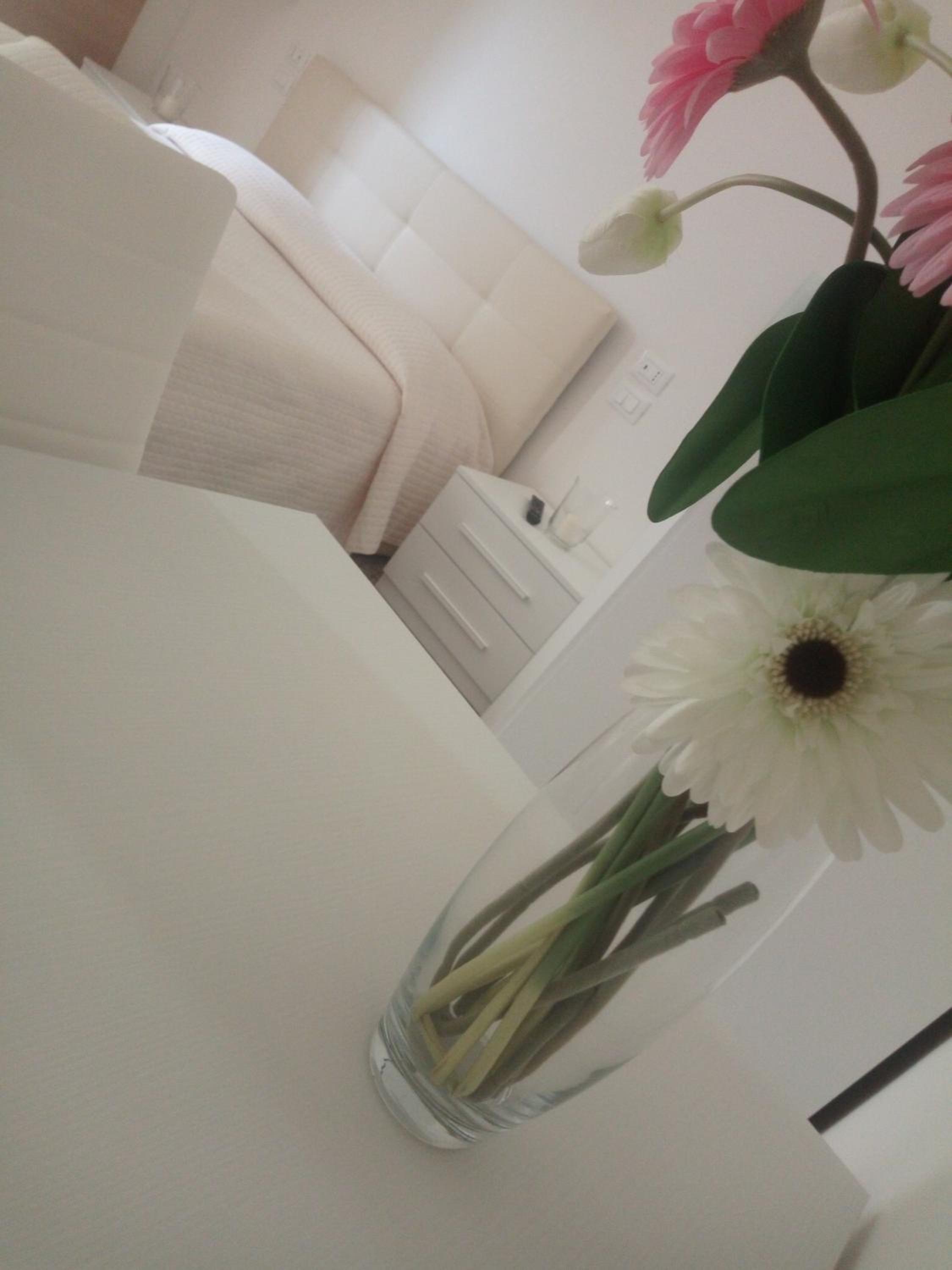 Family Room - Photo 1