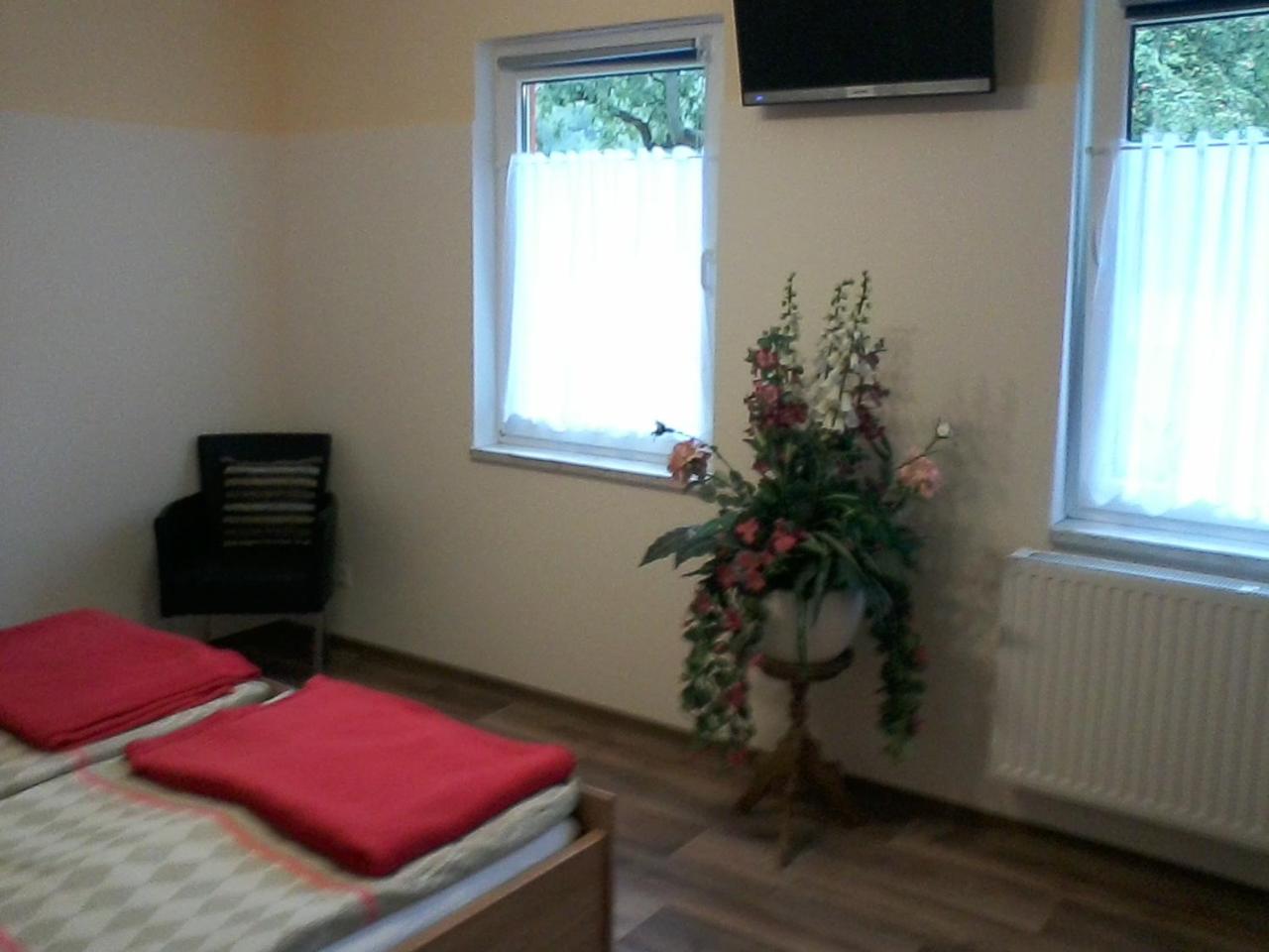 Large Double Room photo 1