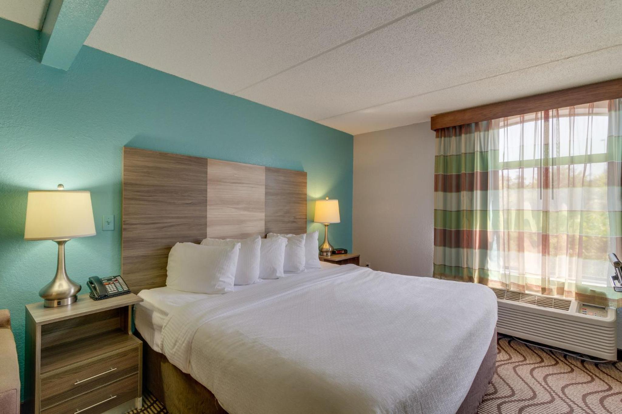King Room with Sofa Bed - Disability Access - Non-Smoking - Photo 6