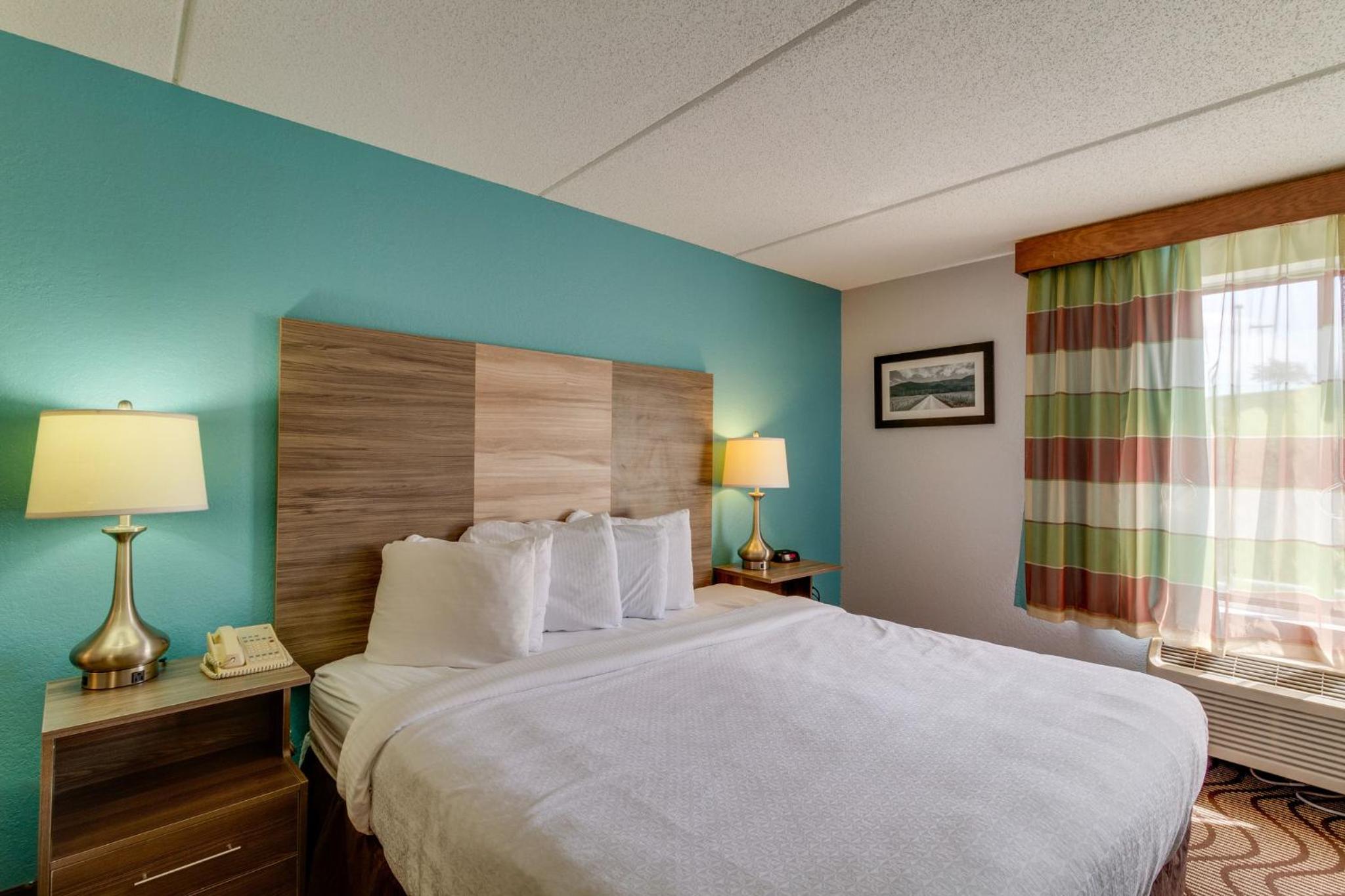 King Room with Sofa Bed - Disability Access - Non-Smoking - Photo 7