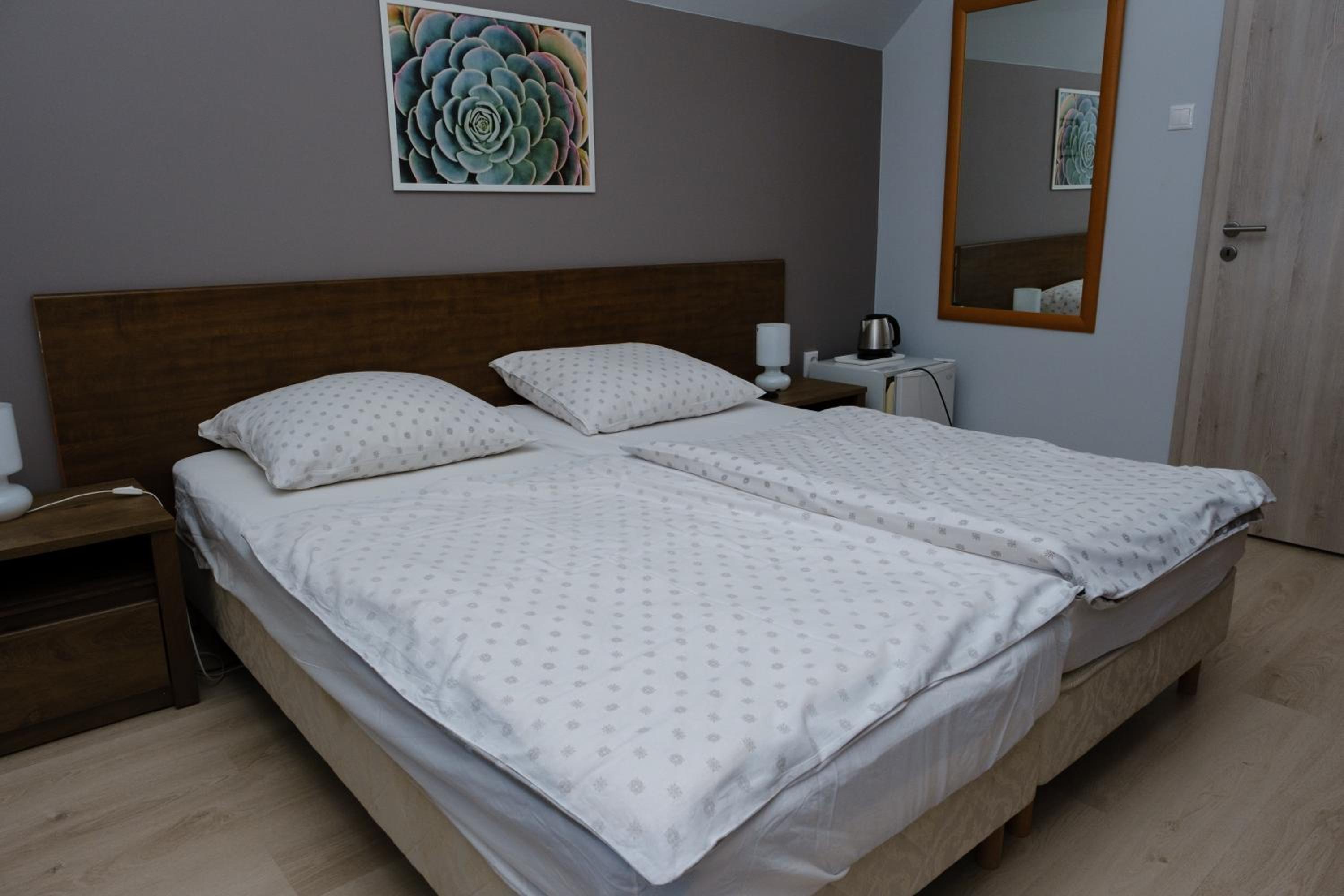 Double or Twin Room photo 1