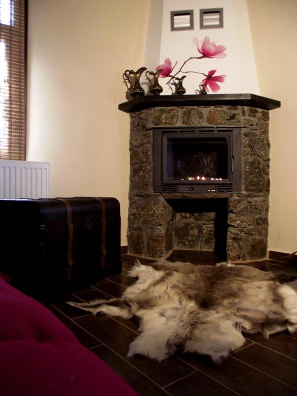 Standard Double Room - Photo 6