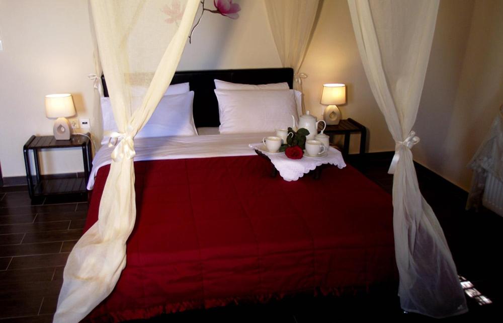 Standard Double Room - Photo 4