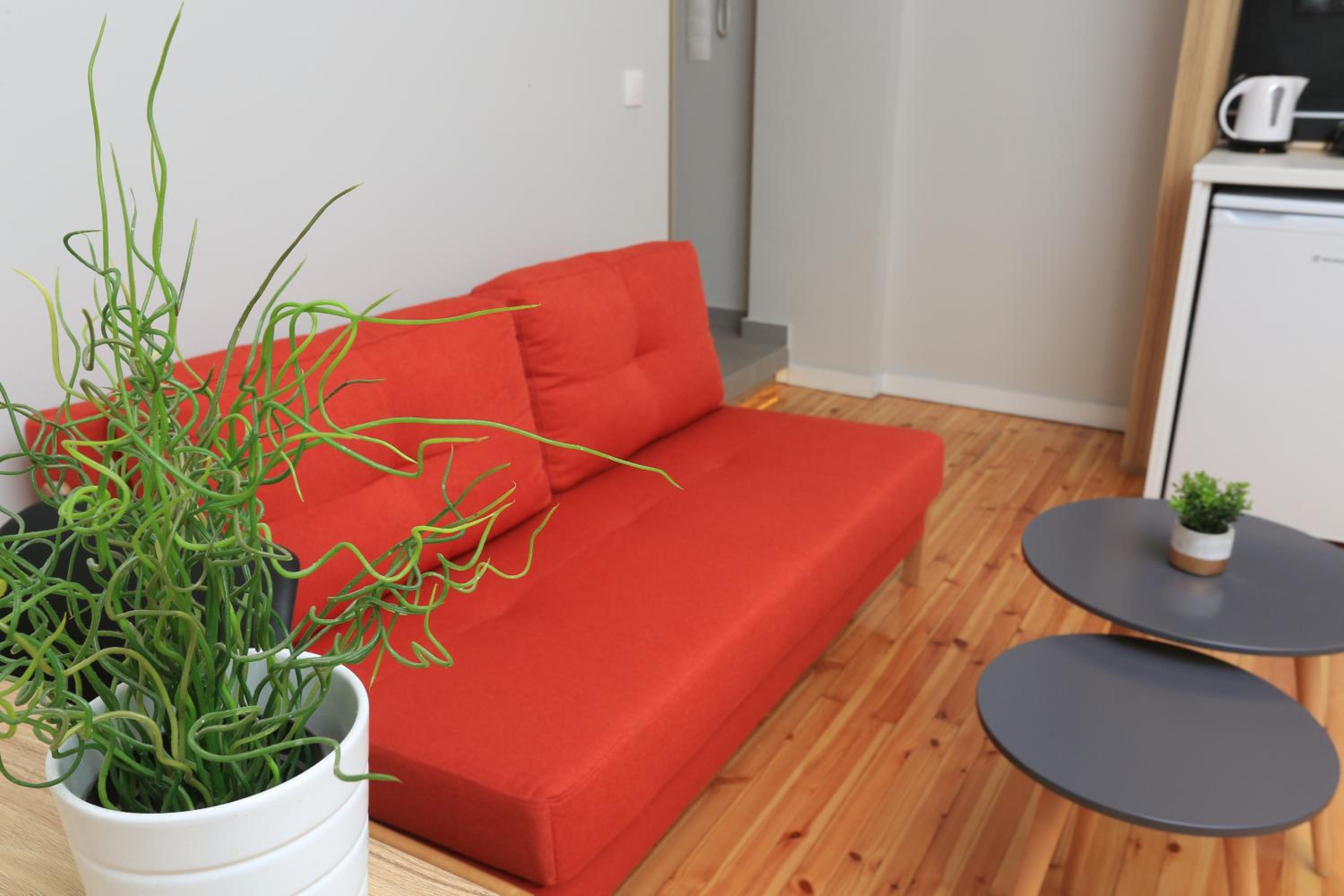 Deluxe Apartment