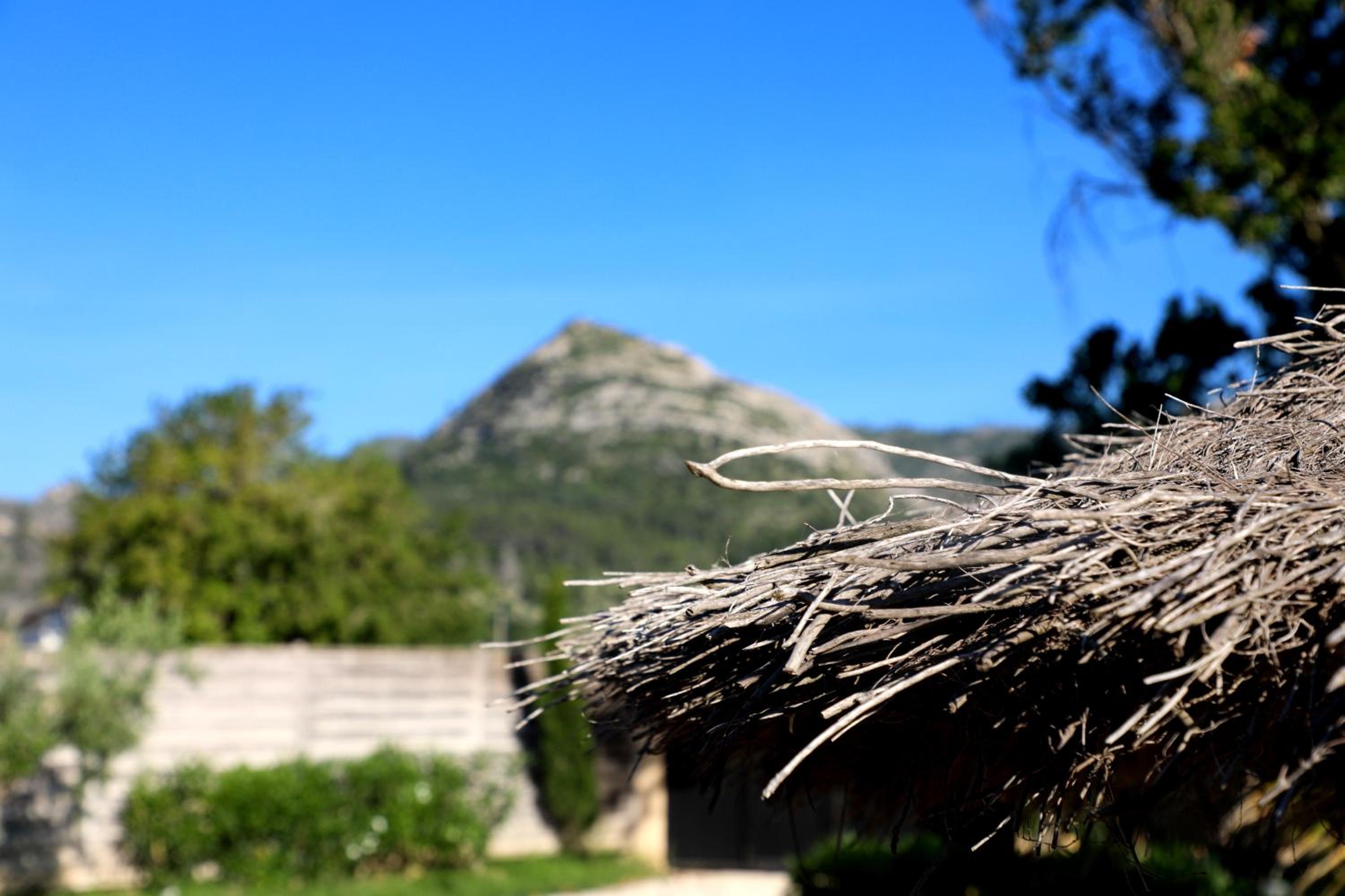 Vacation Home - Photo 6