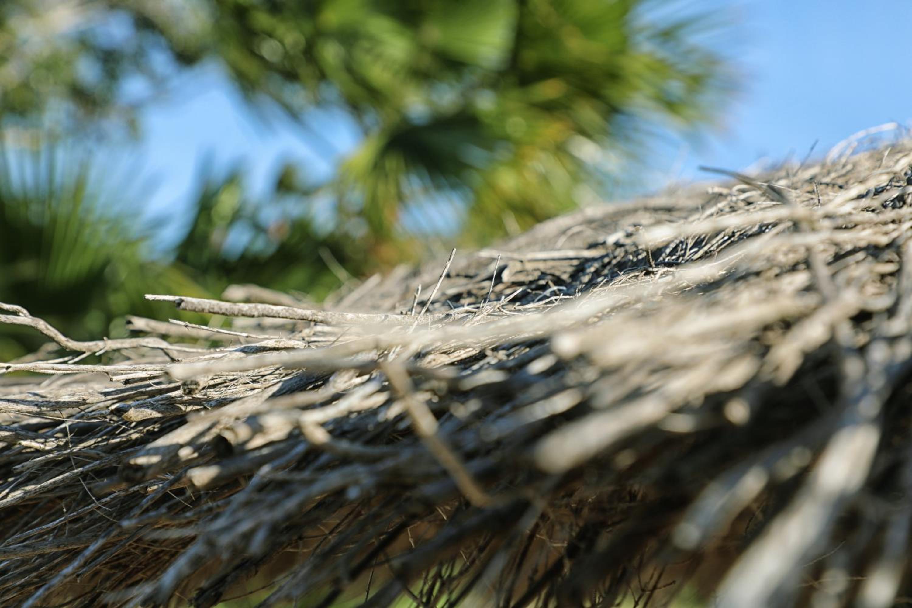 Vacation Home - Photo 9