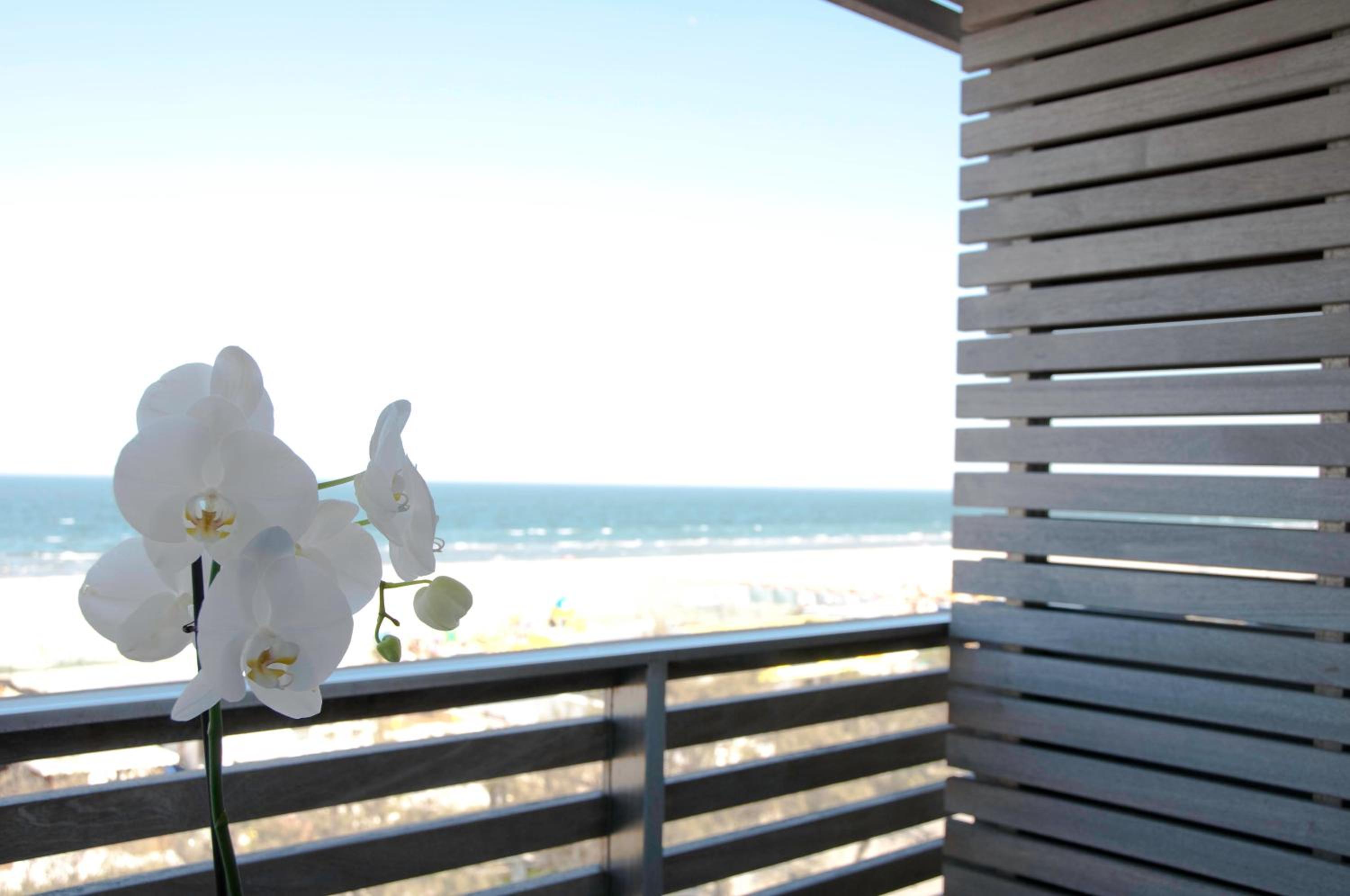 Double or Twin Room with Sea View - Photo 27