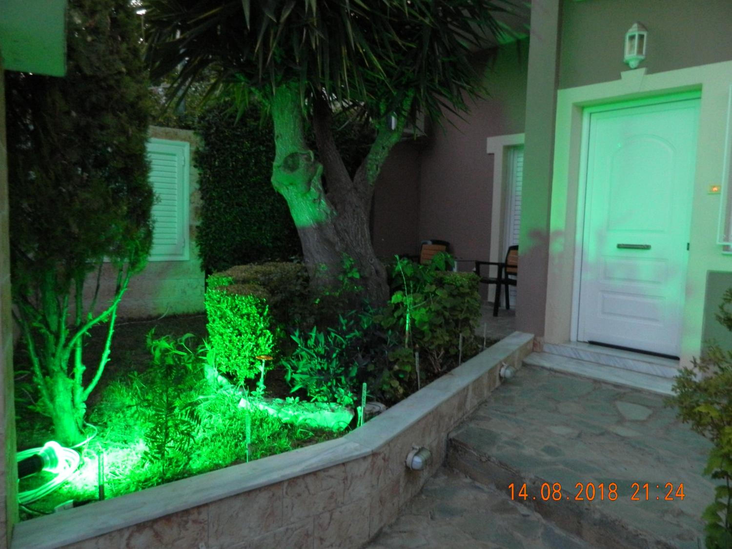 Apartment on Ground Floor photo 3