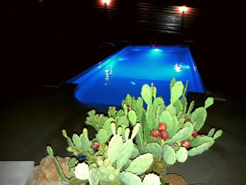 Double Room with Pool View photo 1