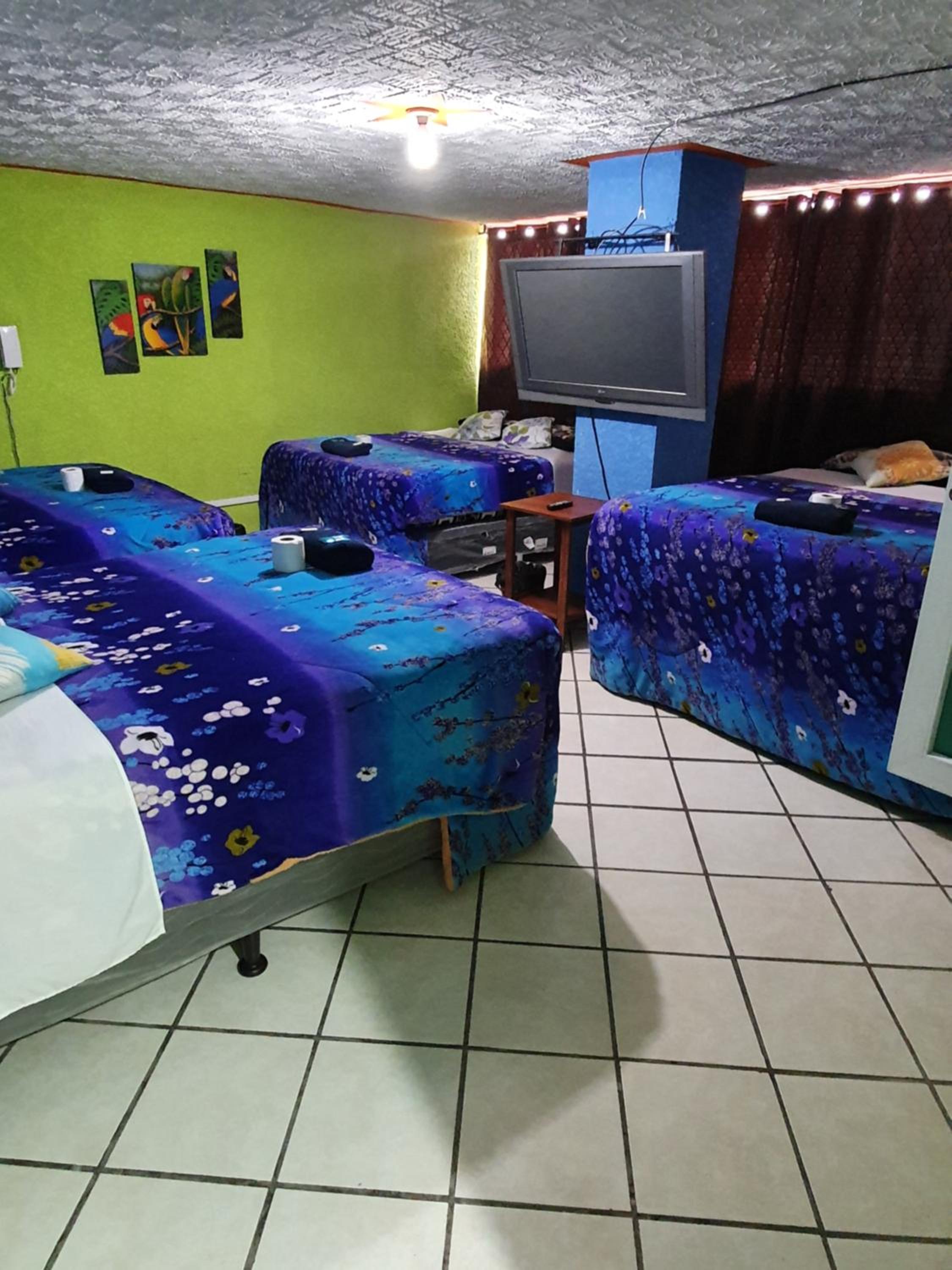 Premium Quadruple Room photo 1