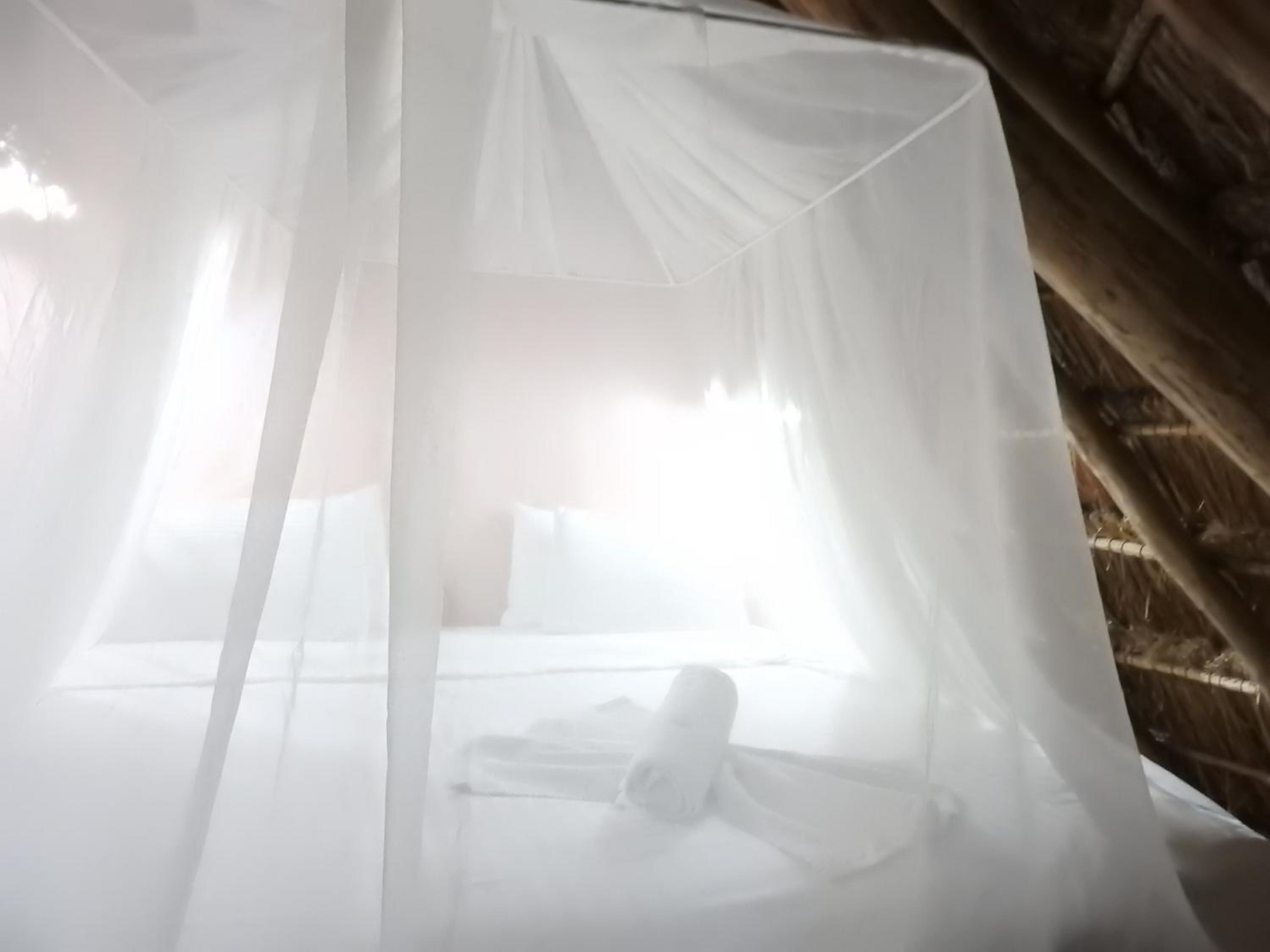 Standard King Room - Photo 9