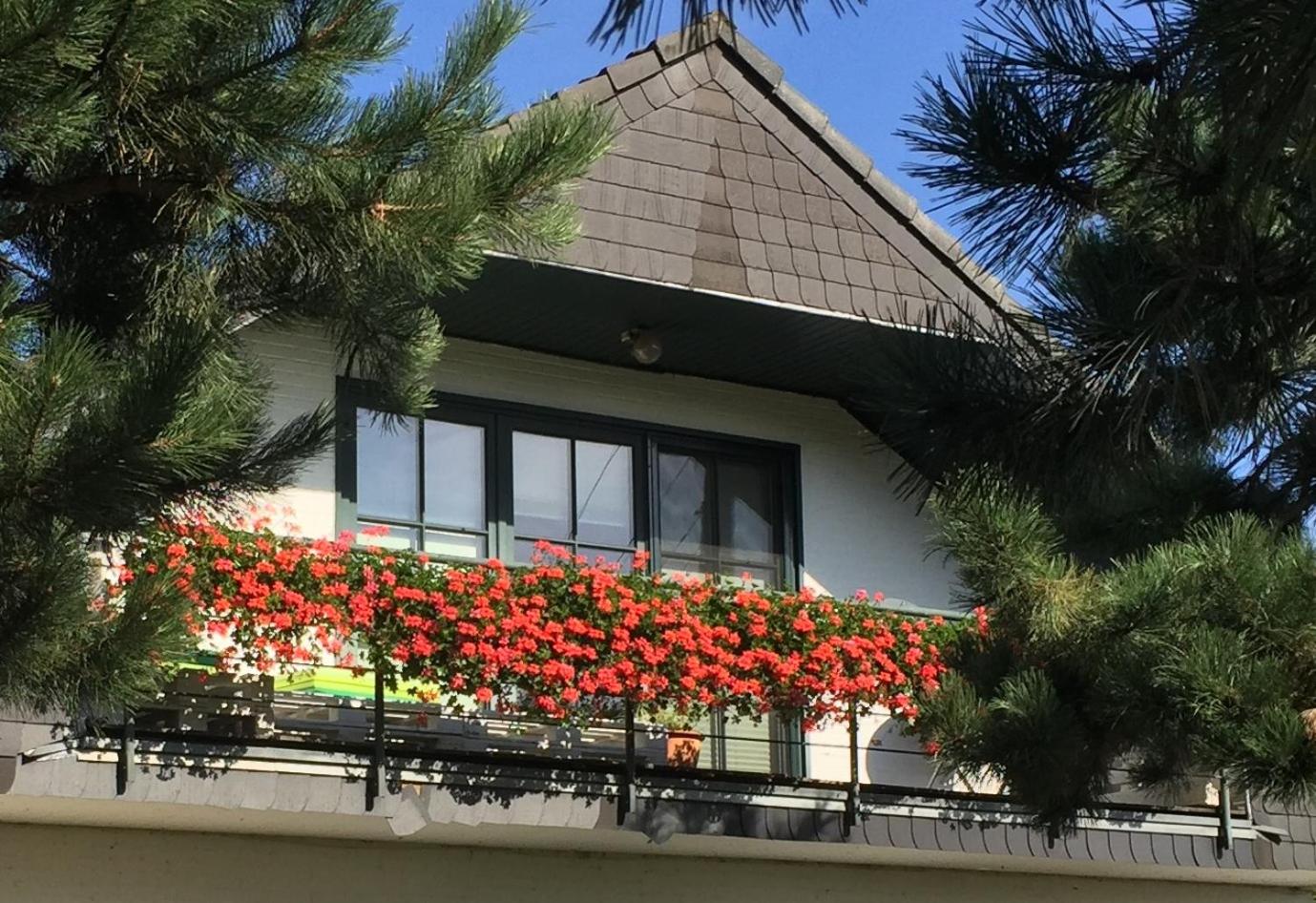 Triple Room with Balcony photo 2