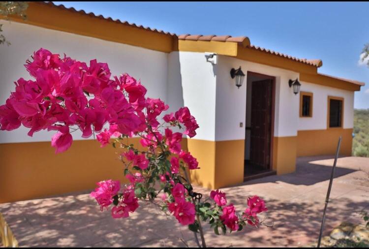 Villa with Private Pool photo 3