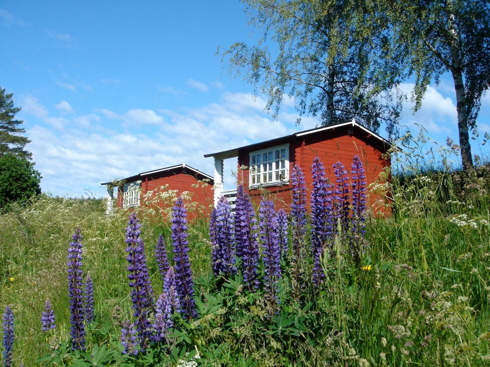 Chalet - Photo 2