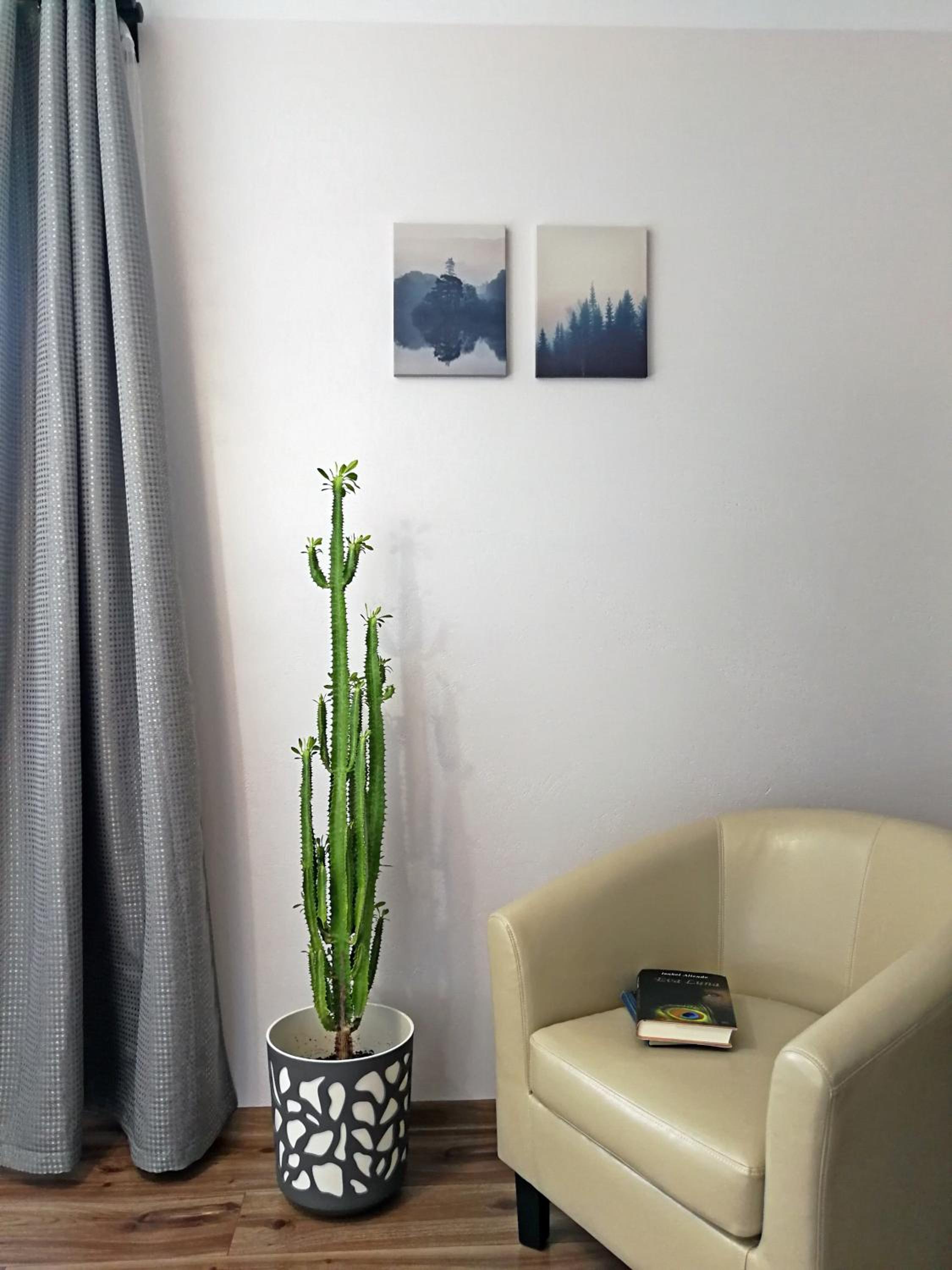 Apartment - Ground Floor - Photo 3