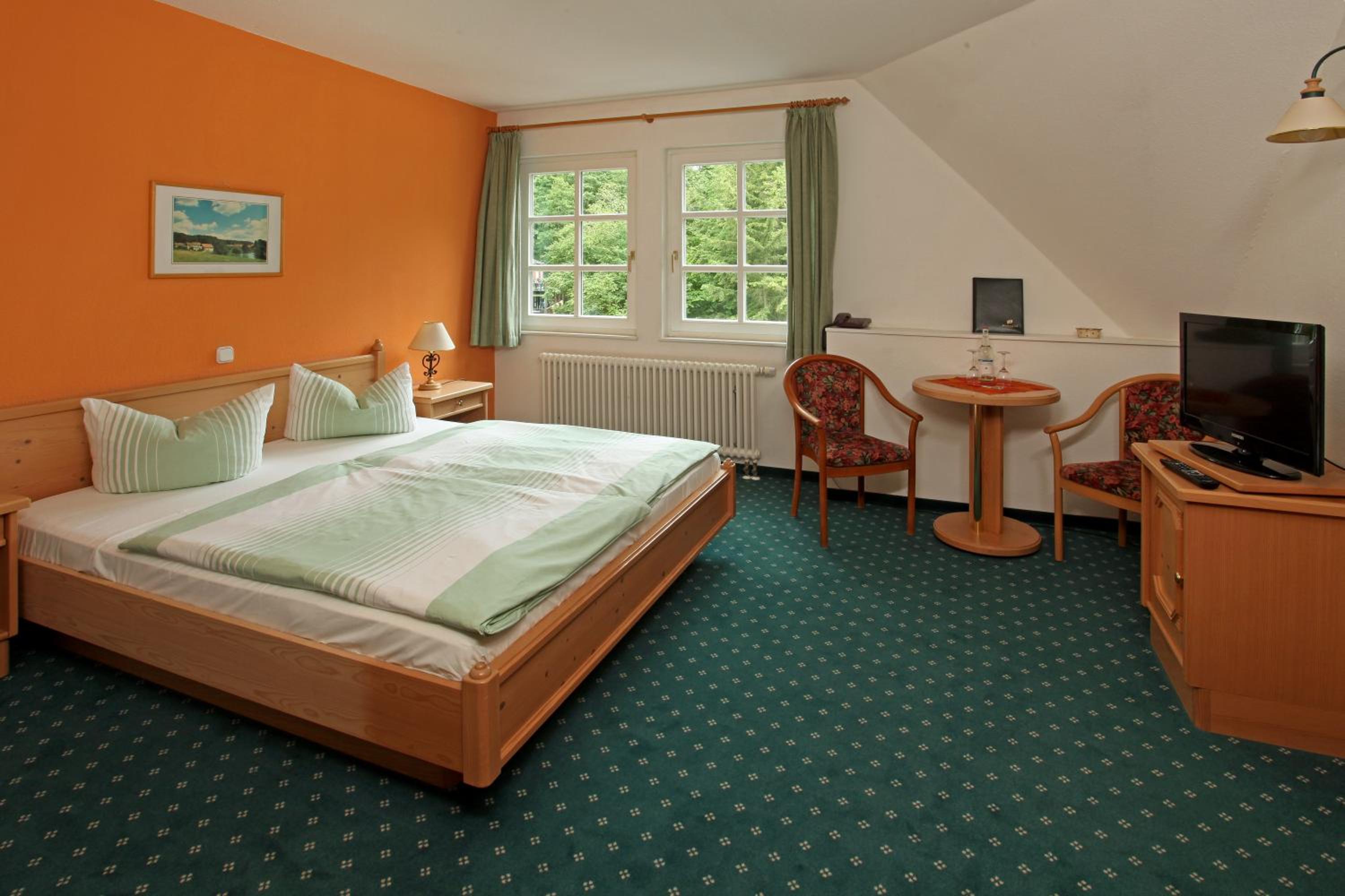 Double Room photo 1