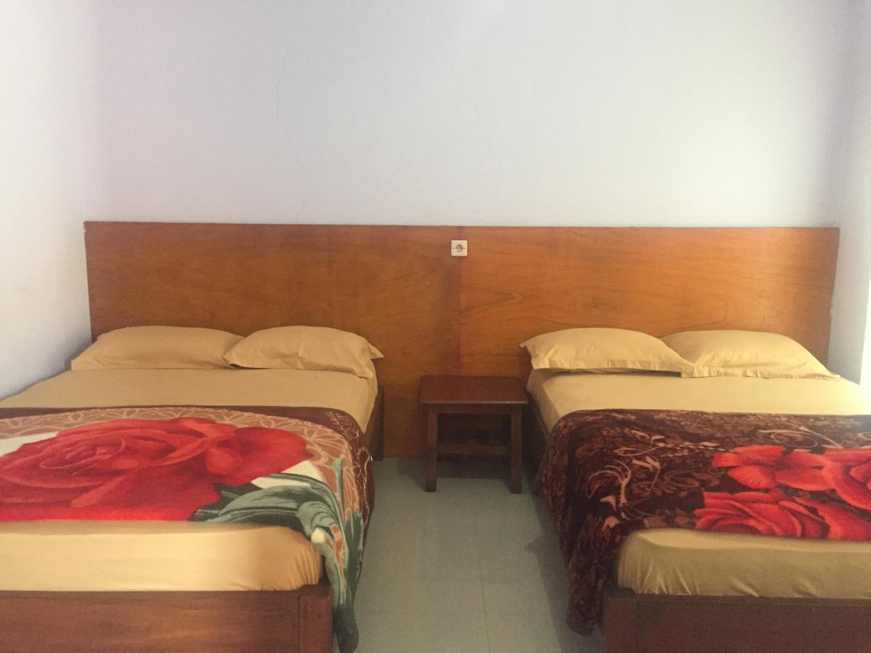 Deluxe Double or Twin Room photo 1