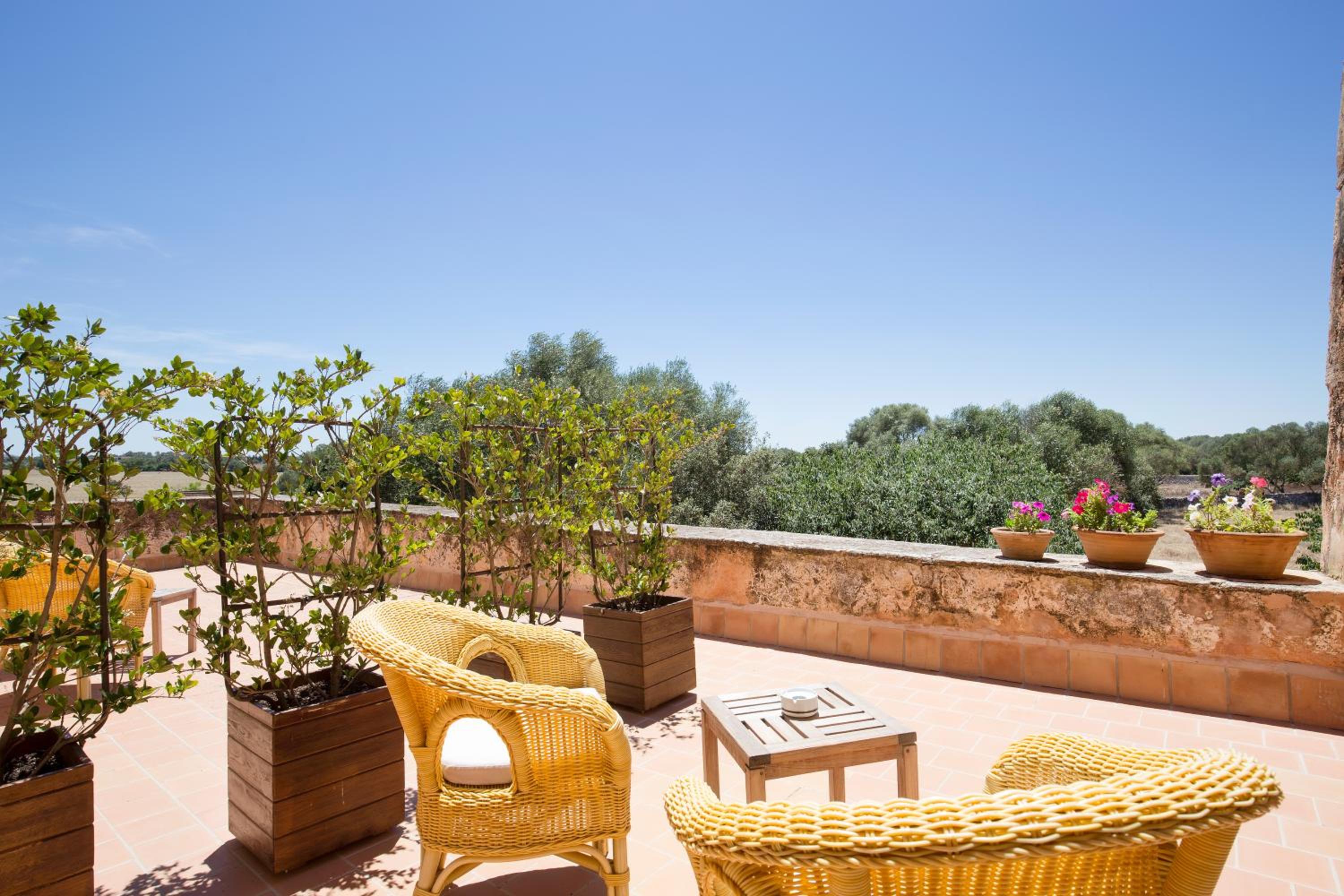 Double Room with Terrace photo 2