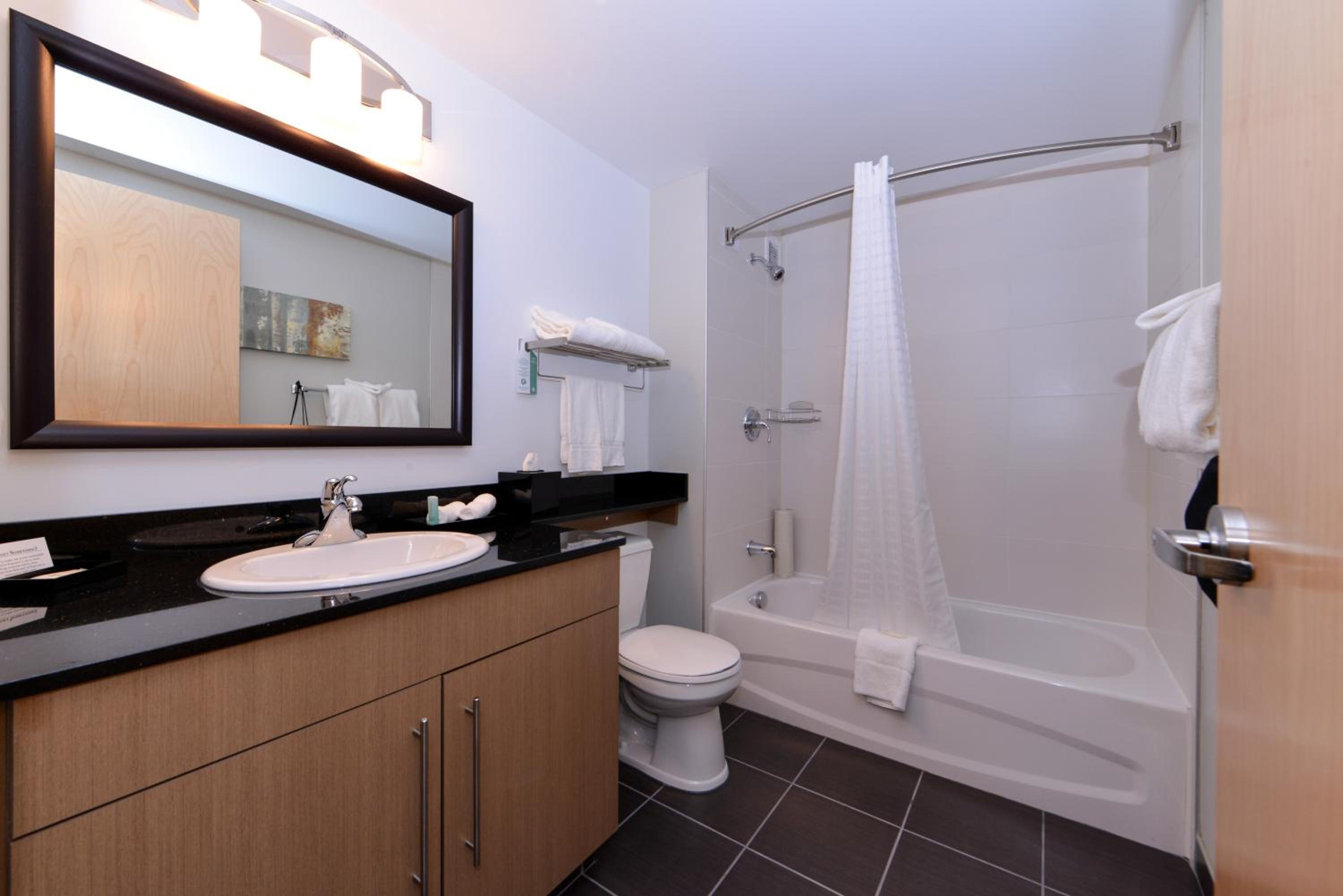 One-Bedroom King Suite with Sofa Bed photo 2