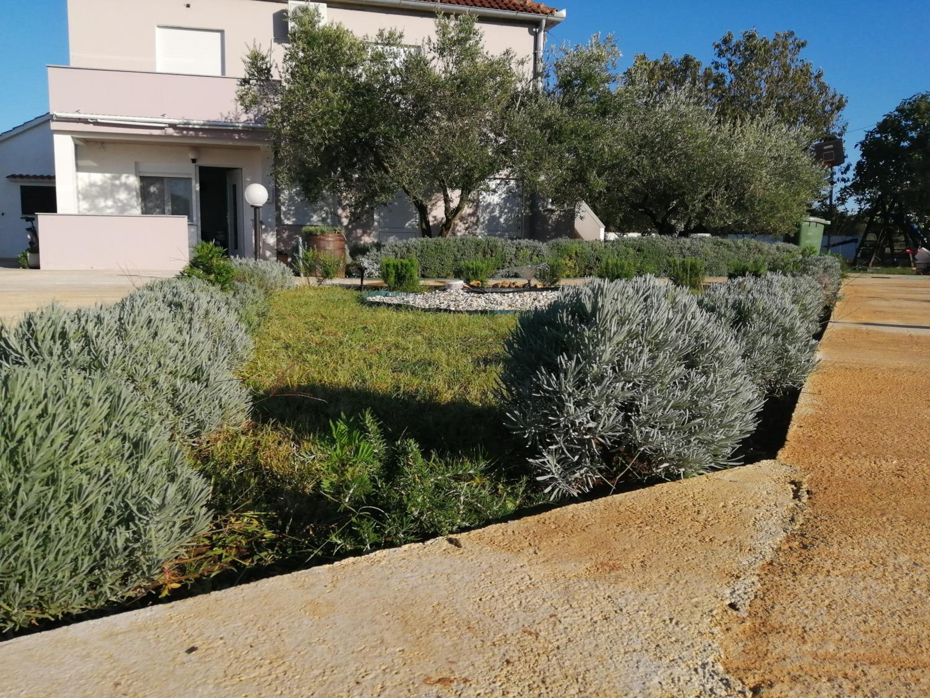 One-Bedroom Apartment with Balcony photo 3