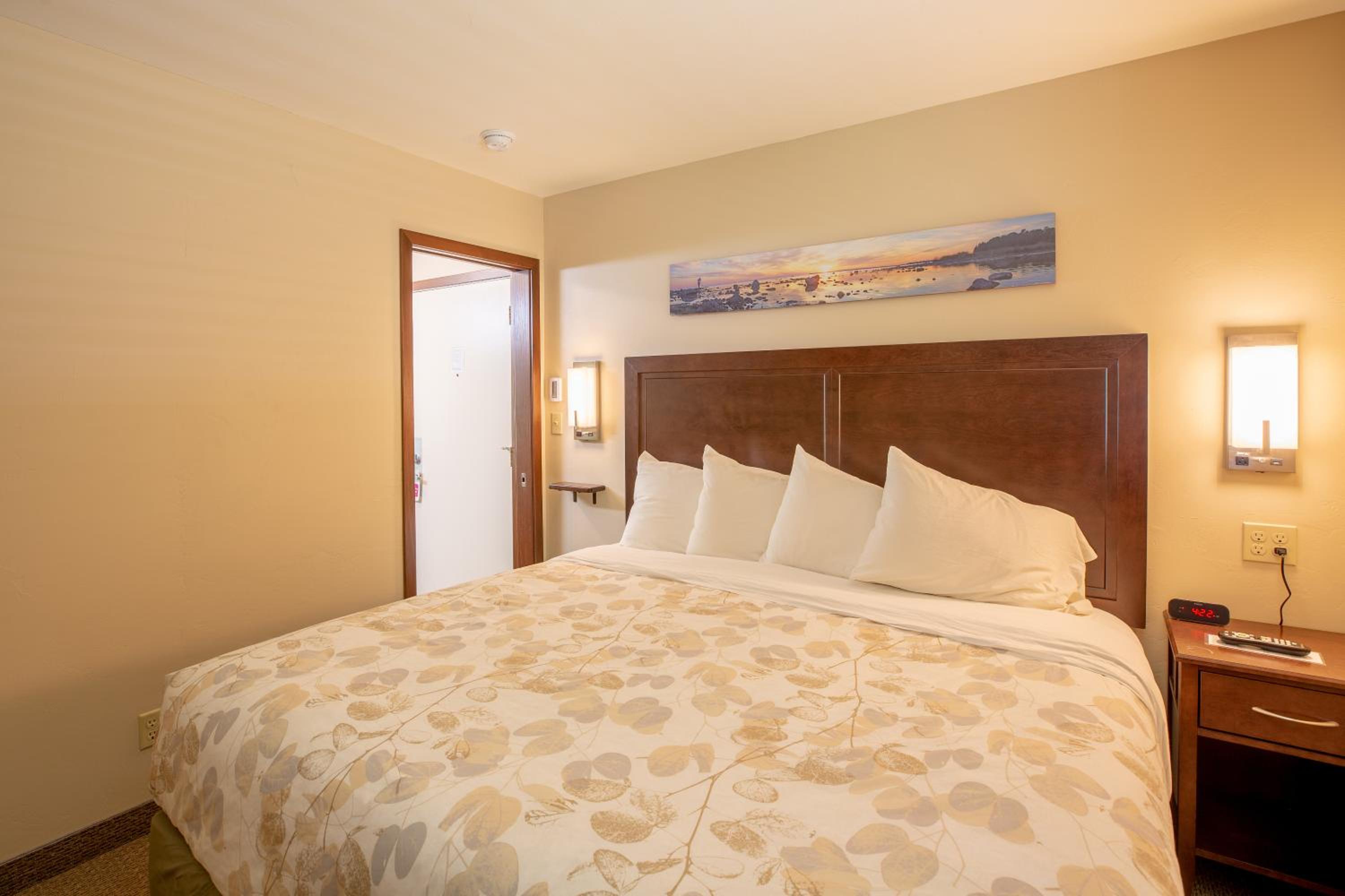 King Suite photo 1