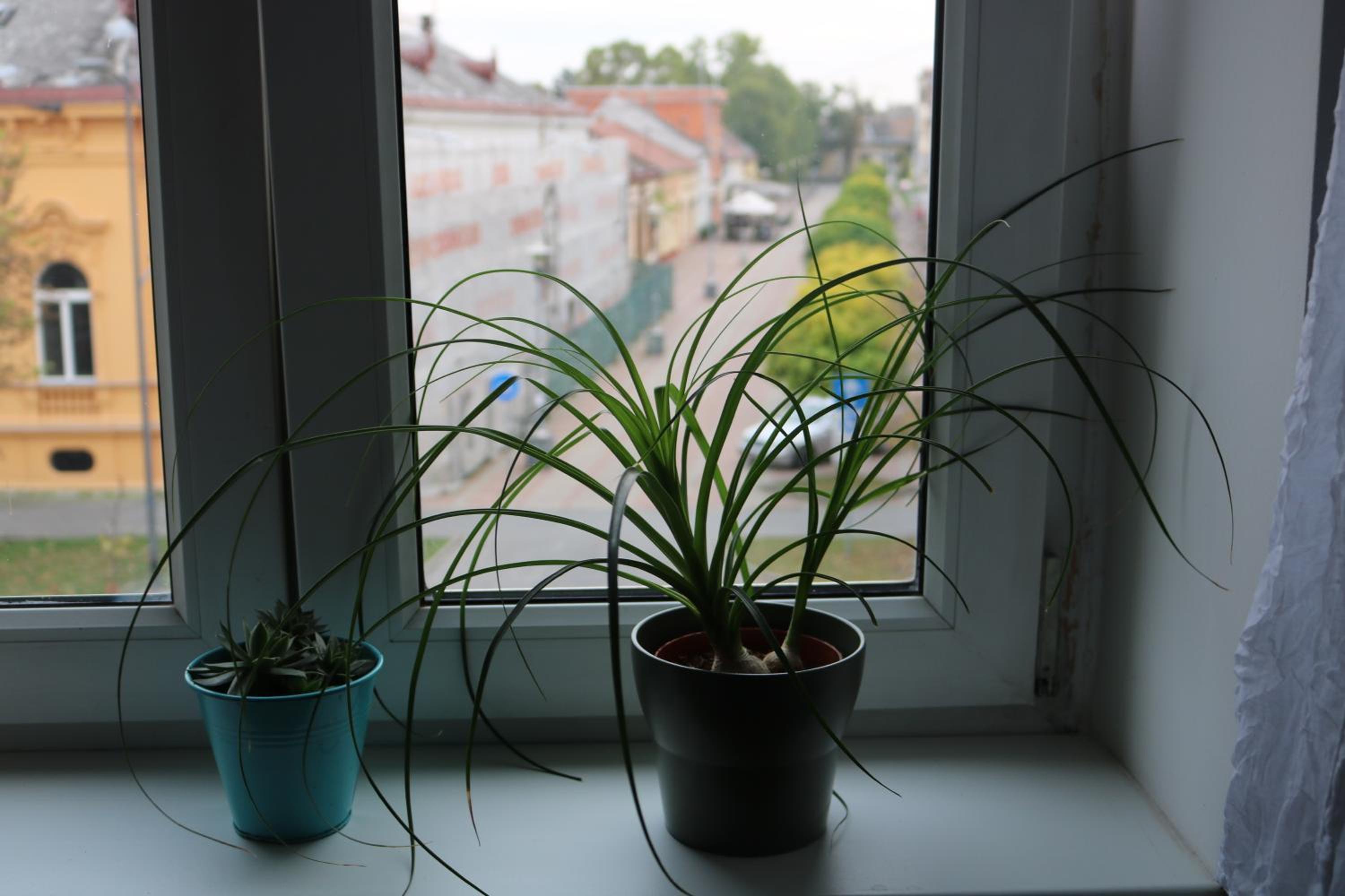 One-Bedroom Apartment - Photo 10
