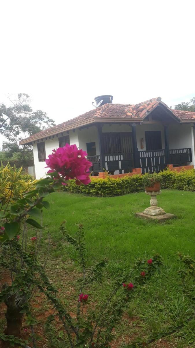 Standard Bungalow photo 2