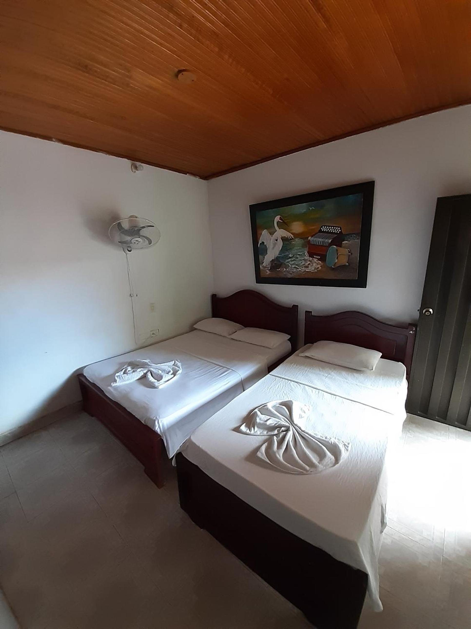 Twin Room photo 2