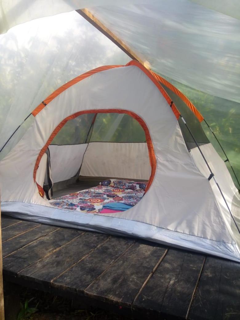 Tent photo 2