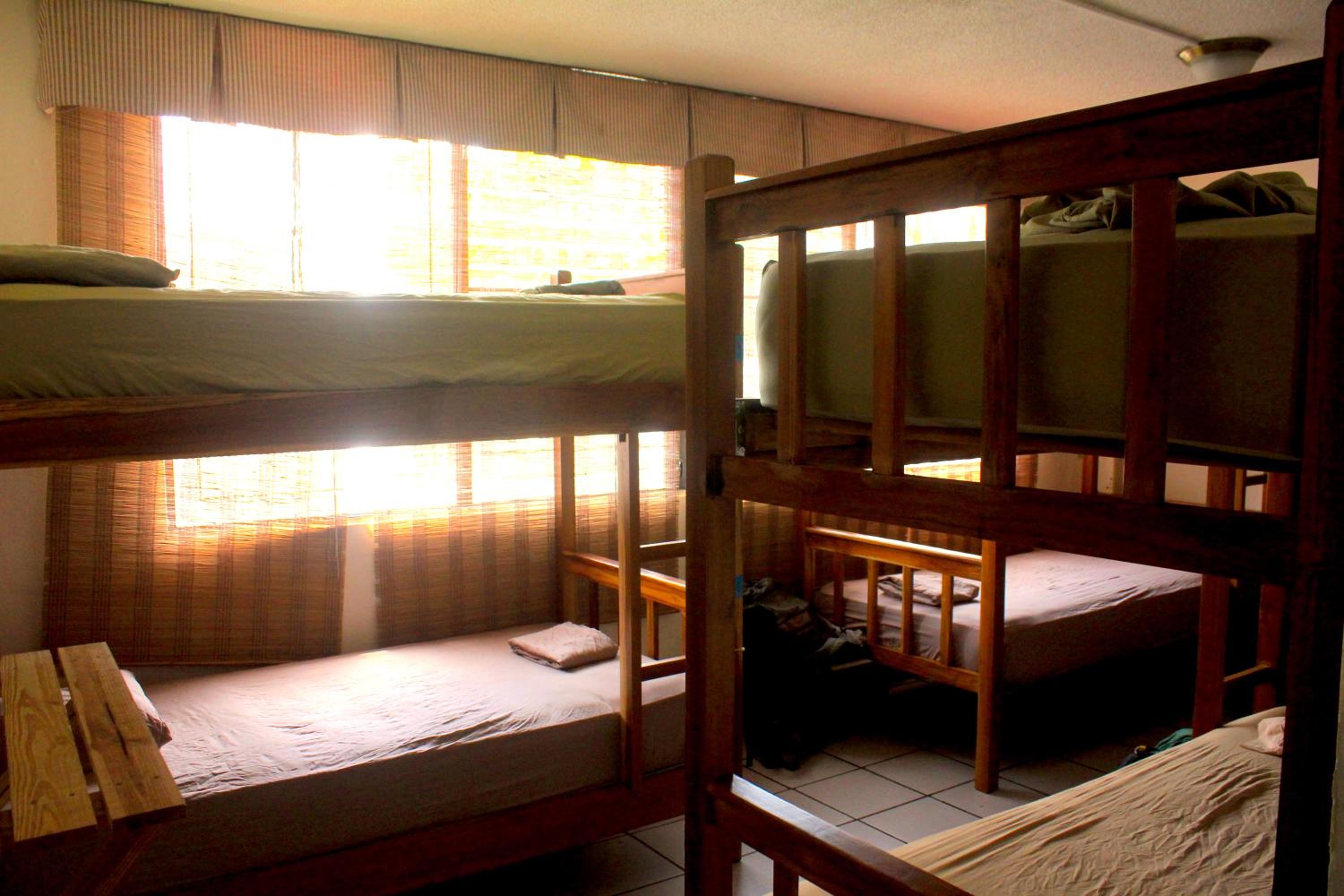 Bed in 8-Bed Mixed Dormitory Room photo 1