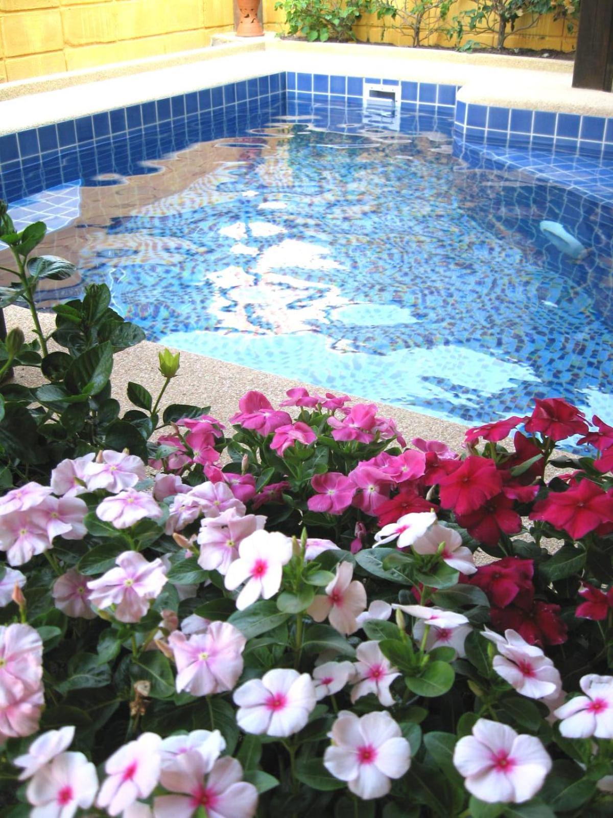 Villa - Photo 7