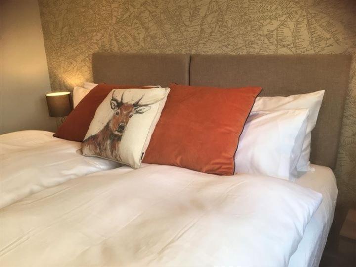 Deluxe Double or Twin Room photo 2