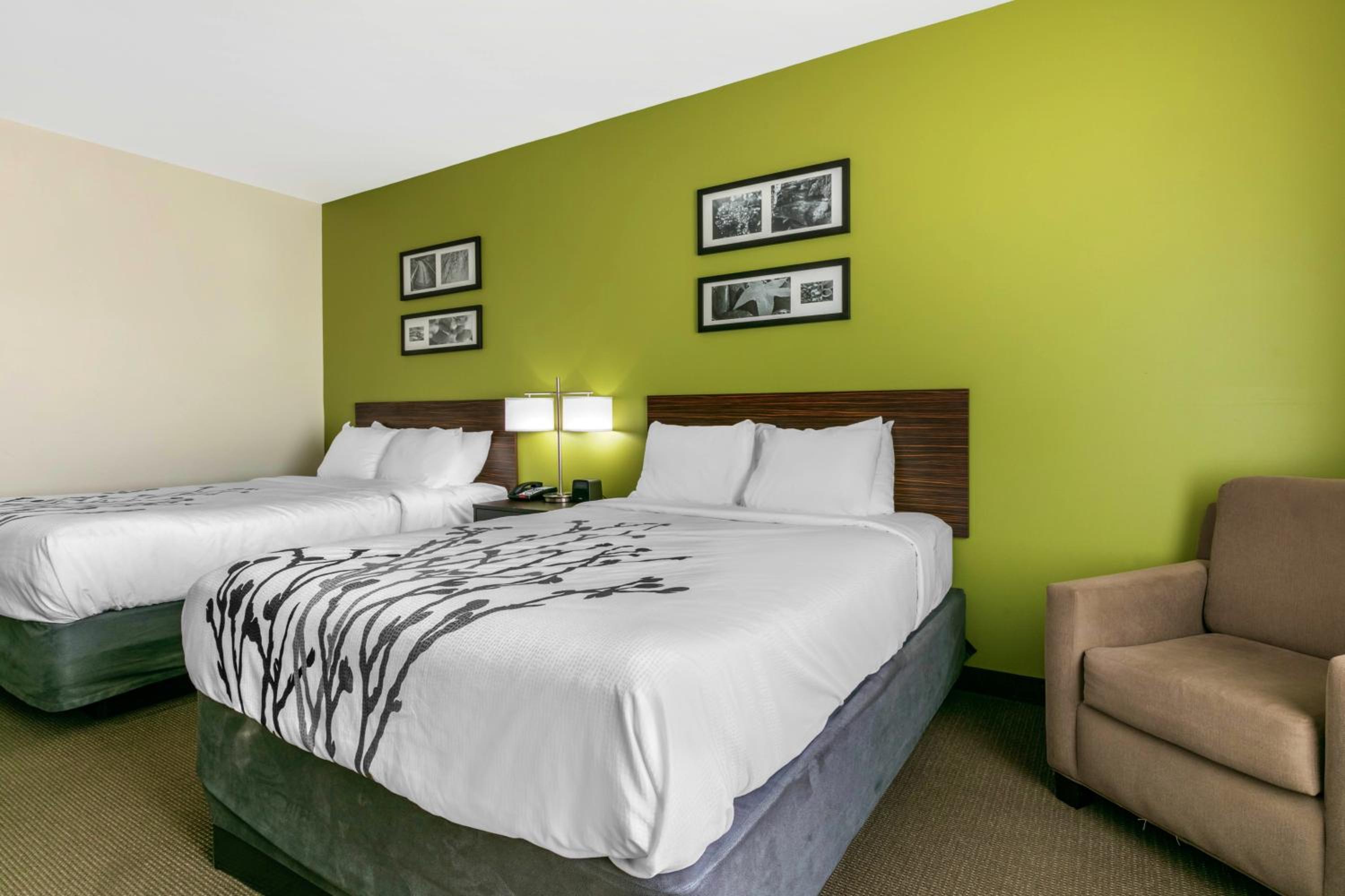 Queen Room with Two Queen Beds photo 2