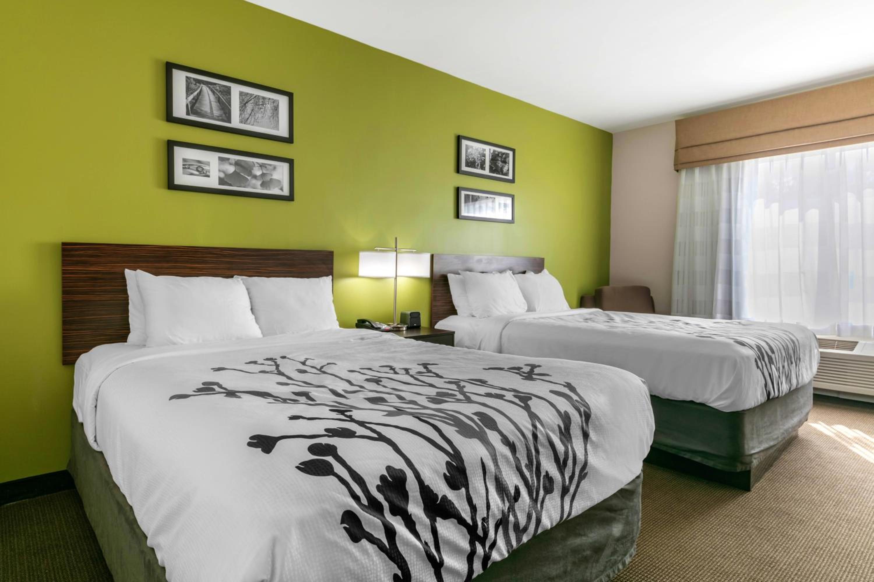 Queen Room with Two Queen Beds photo 1