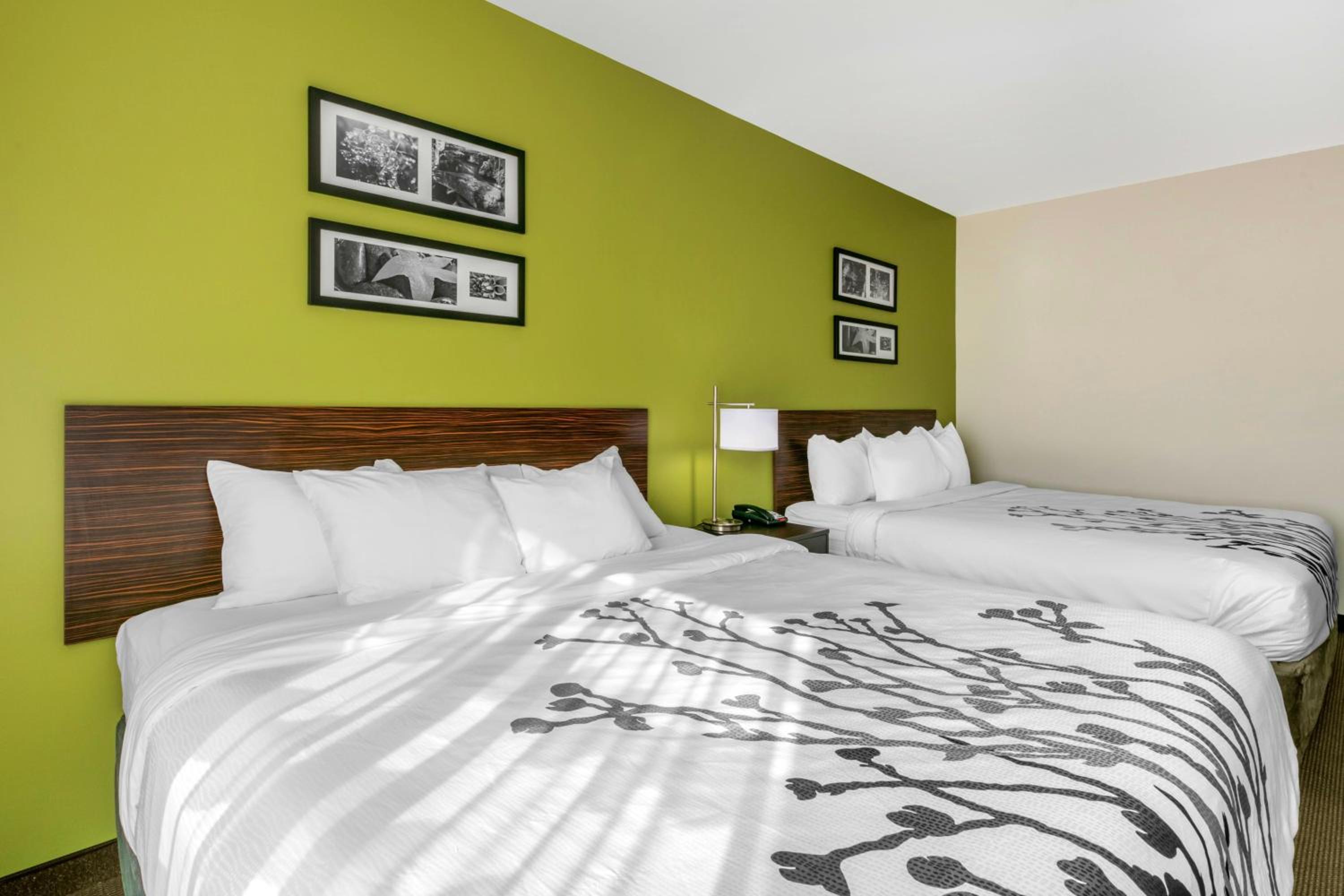Queen Room with Two Queen Beds - Accessible/Non-Smoking  photo 2