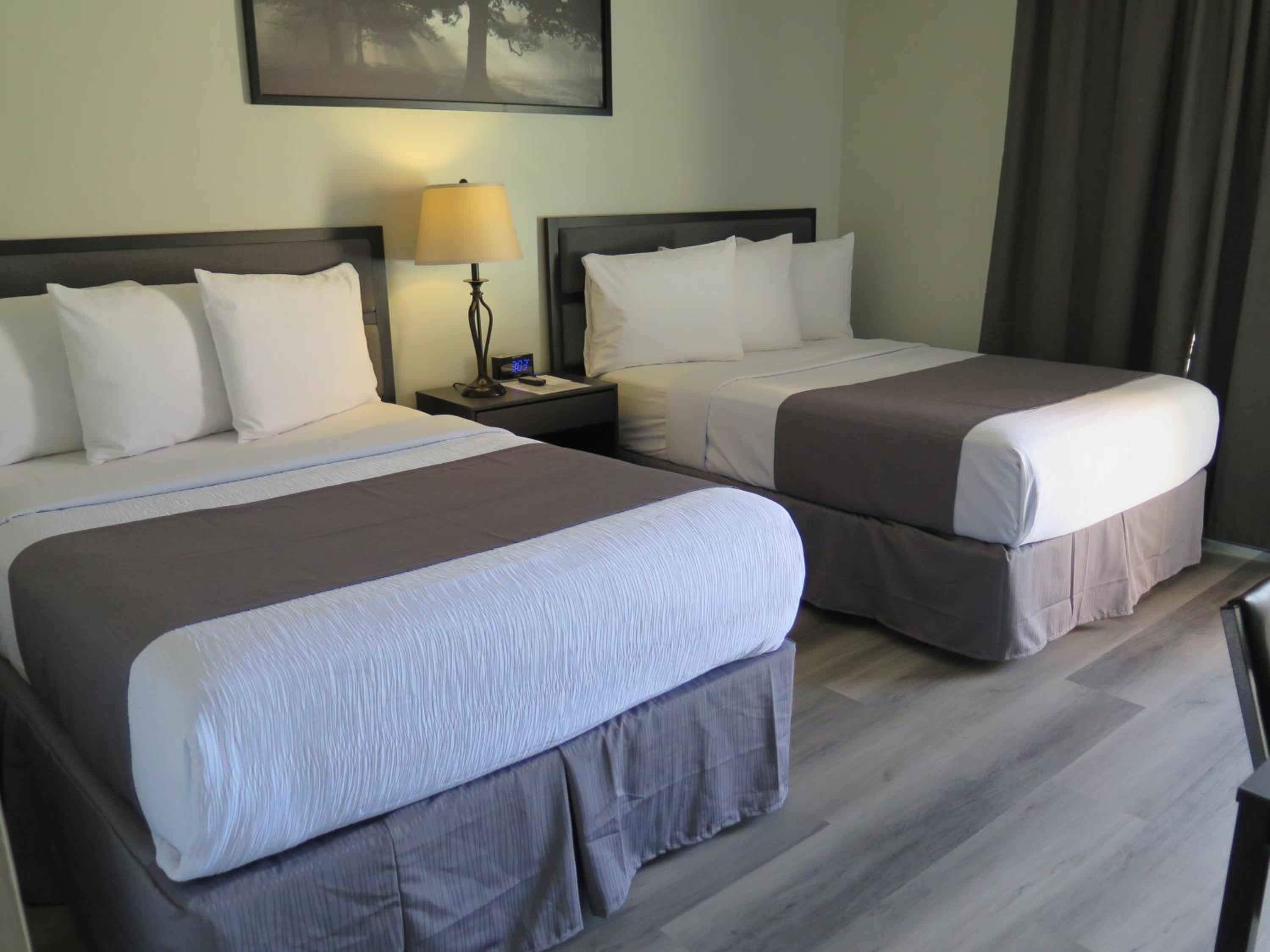 Deluxe 2 Double Beds - Non-Smoking