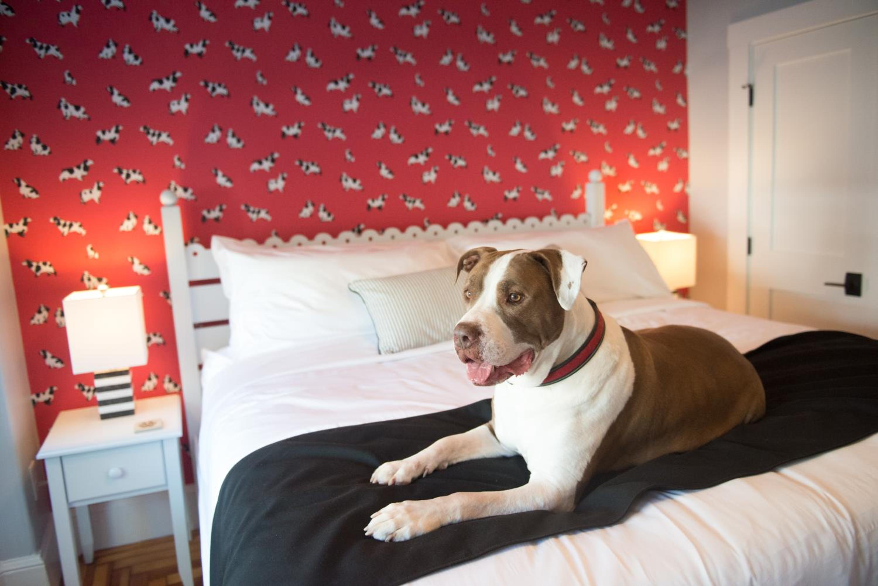Room 2 photo 2