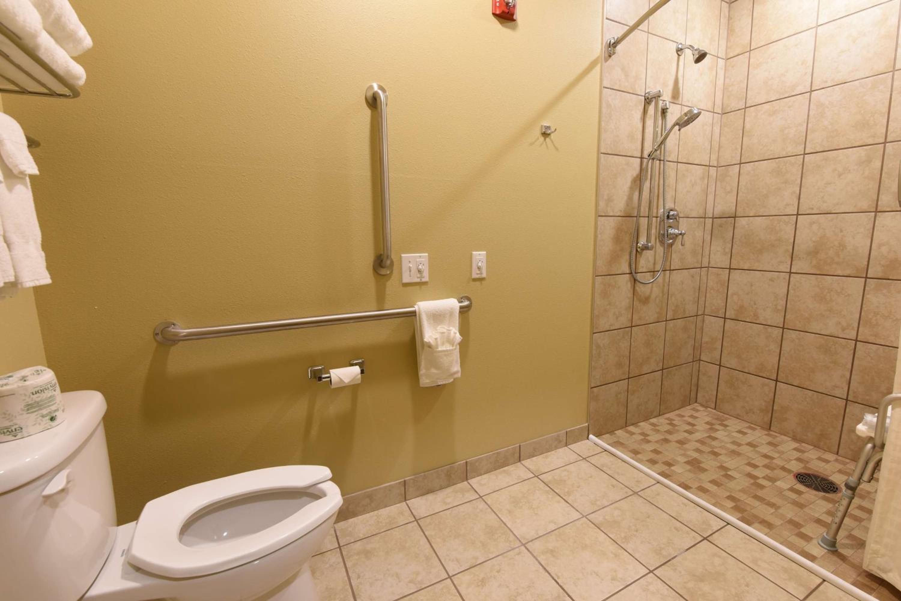 King Room with Roll-In Shower - Disability Access - Photo 3