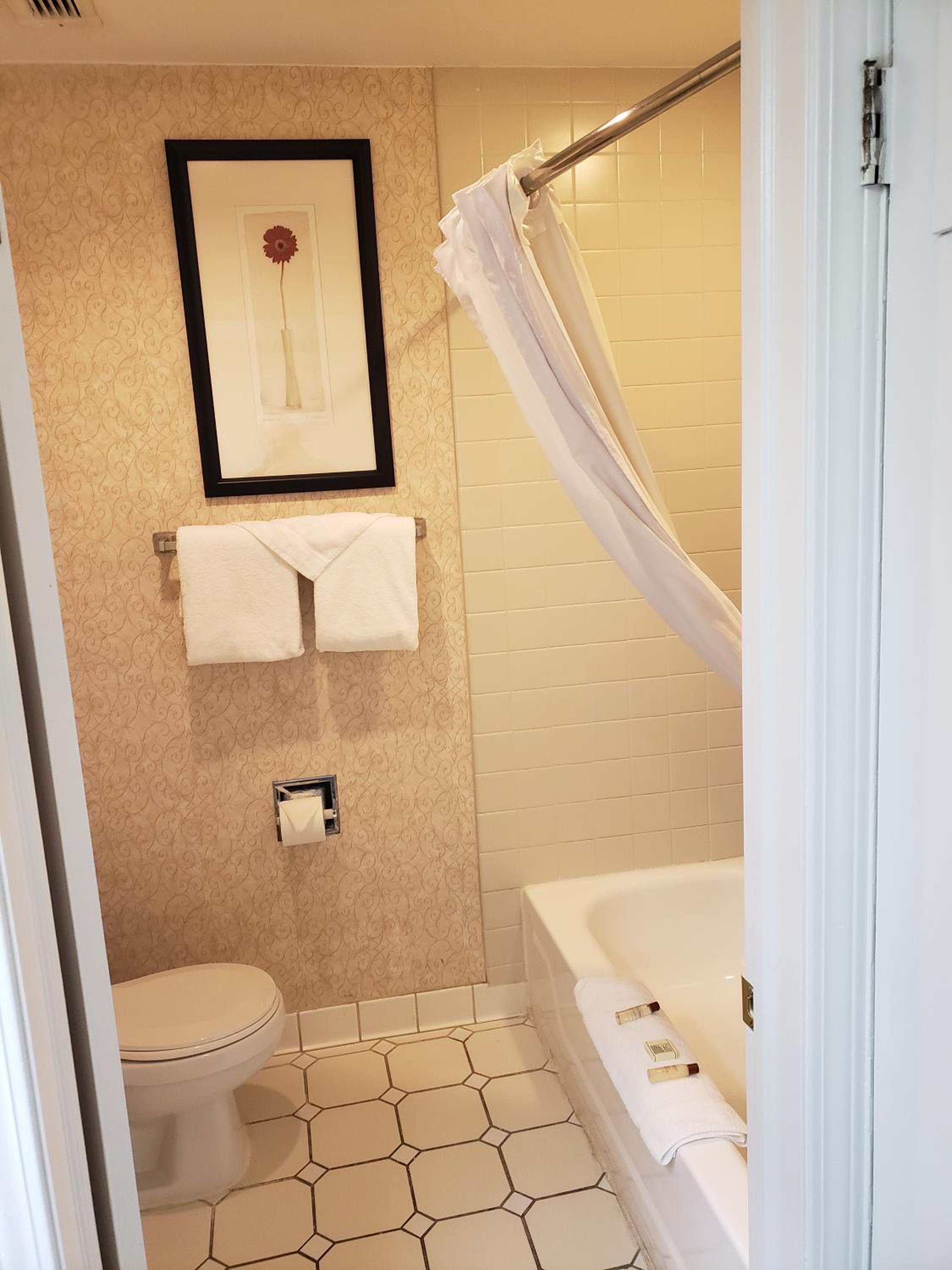One-Bedroom King Suite - Non-Smoking - Photo 3