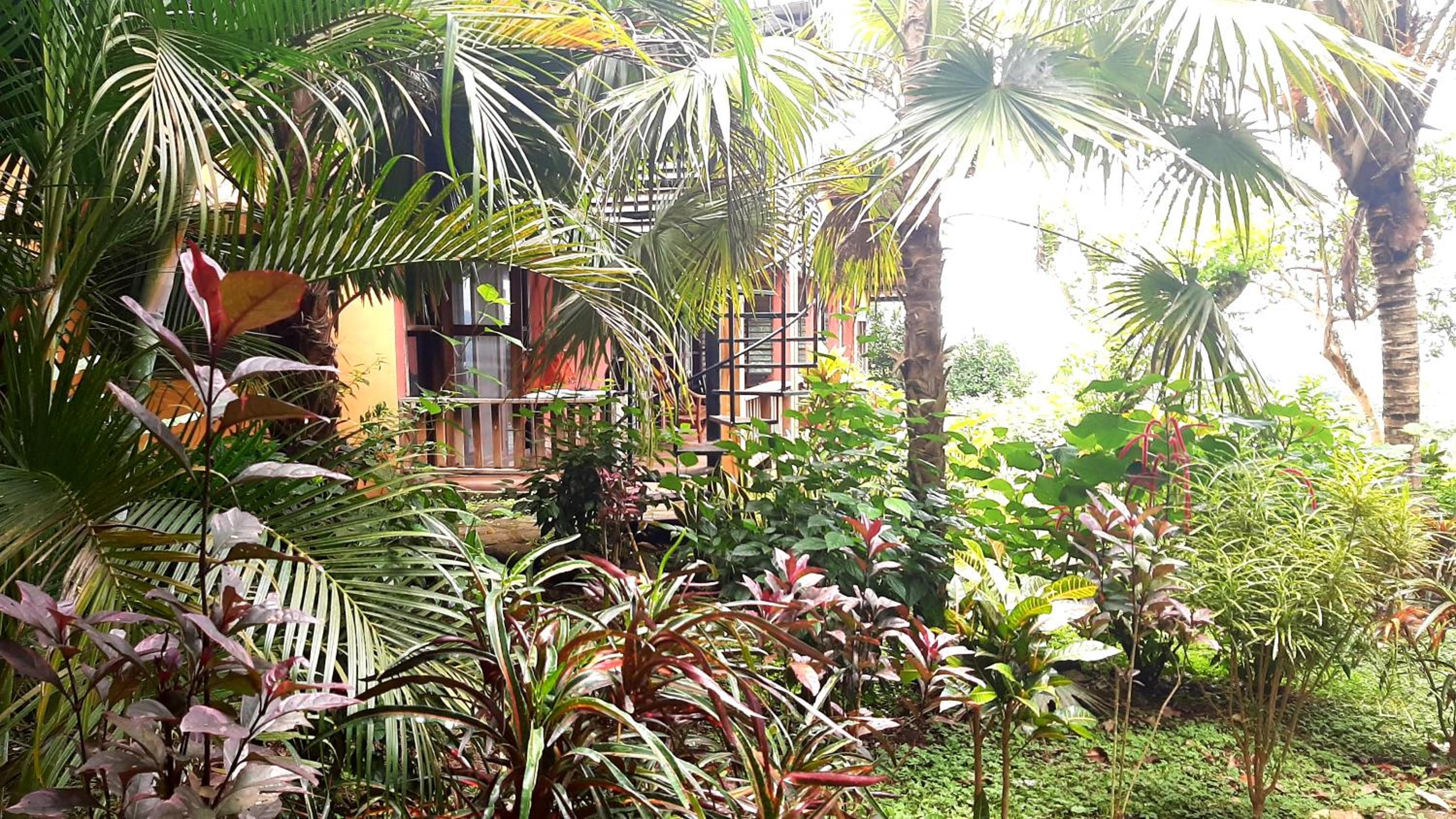 Family Home photo 3
