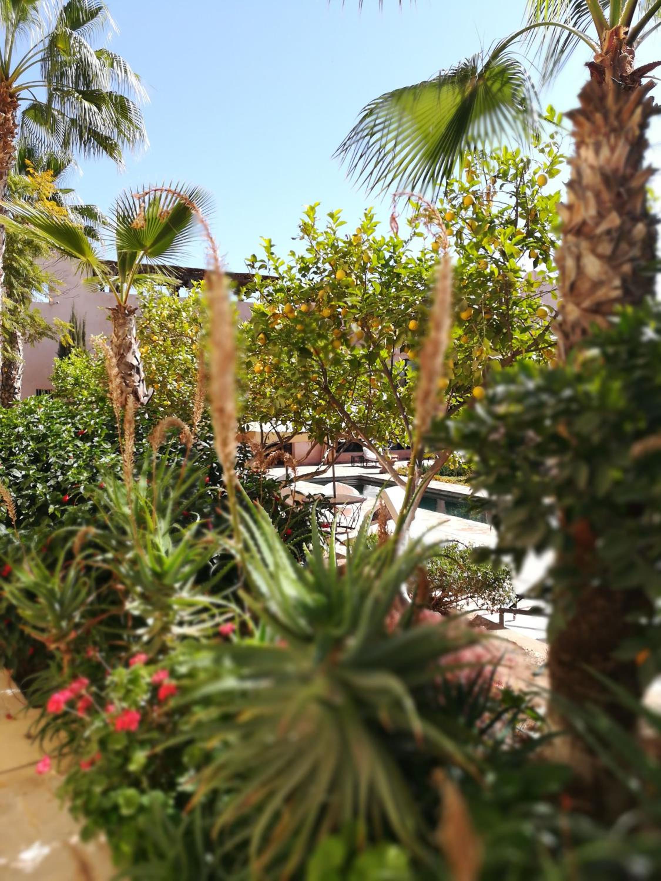 Double Room with Pool View - Photo 13