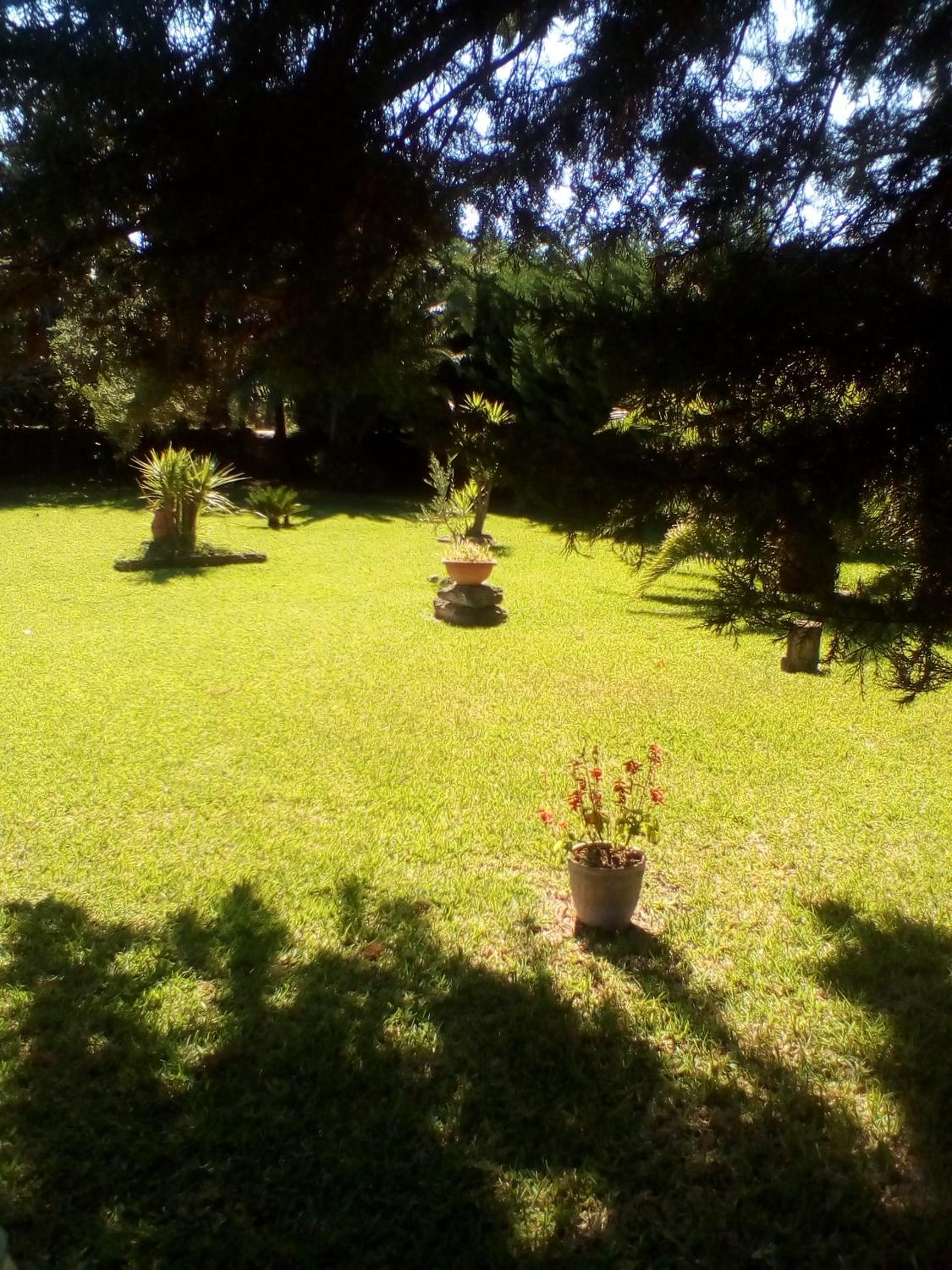 Large Double Room - Photo 7