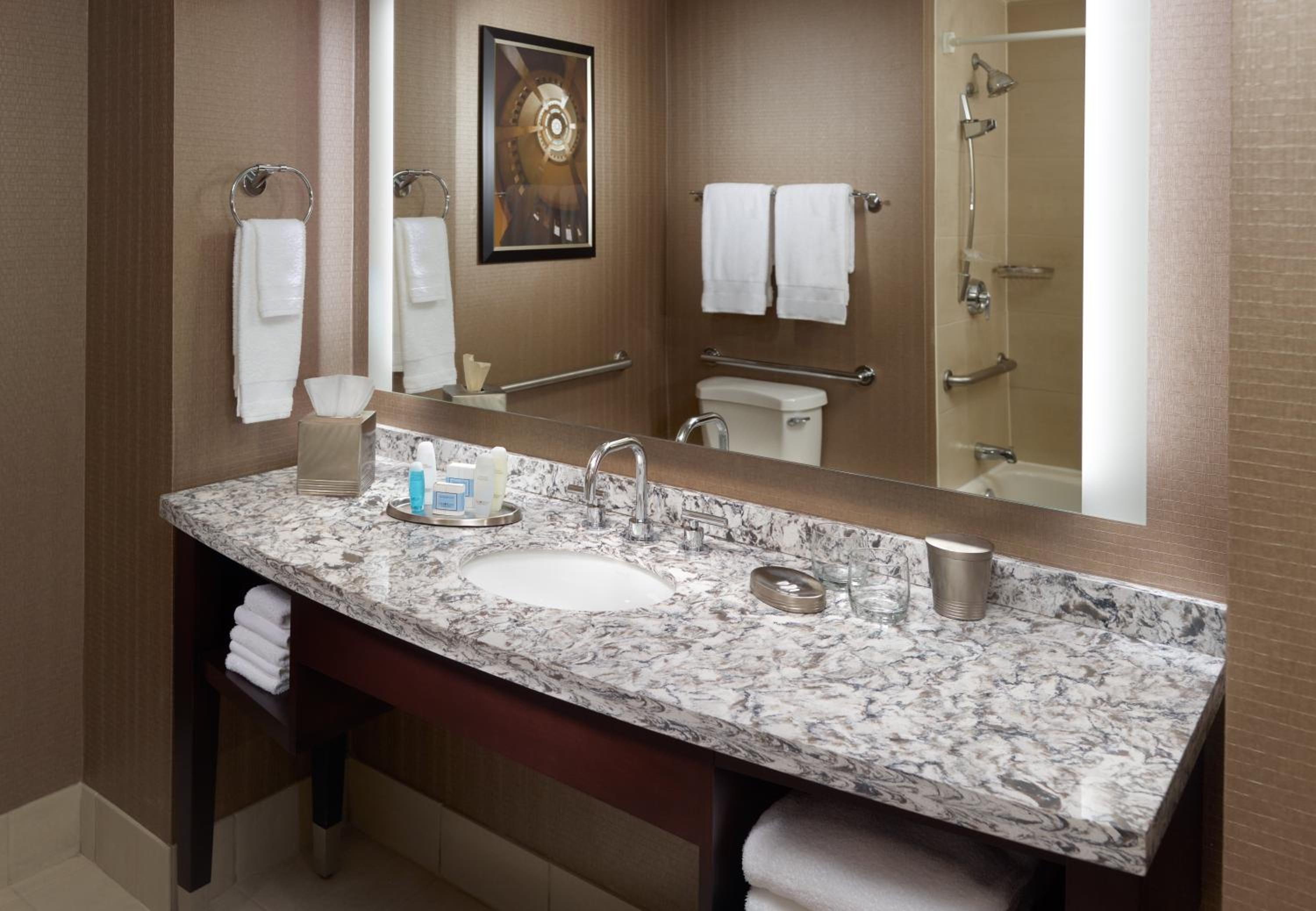 ADA Deluxe Room with Roll in Shower 1 King Bed West Tower