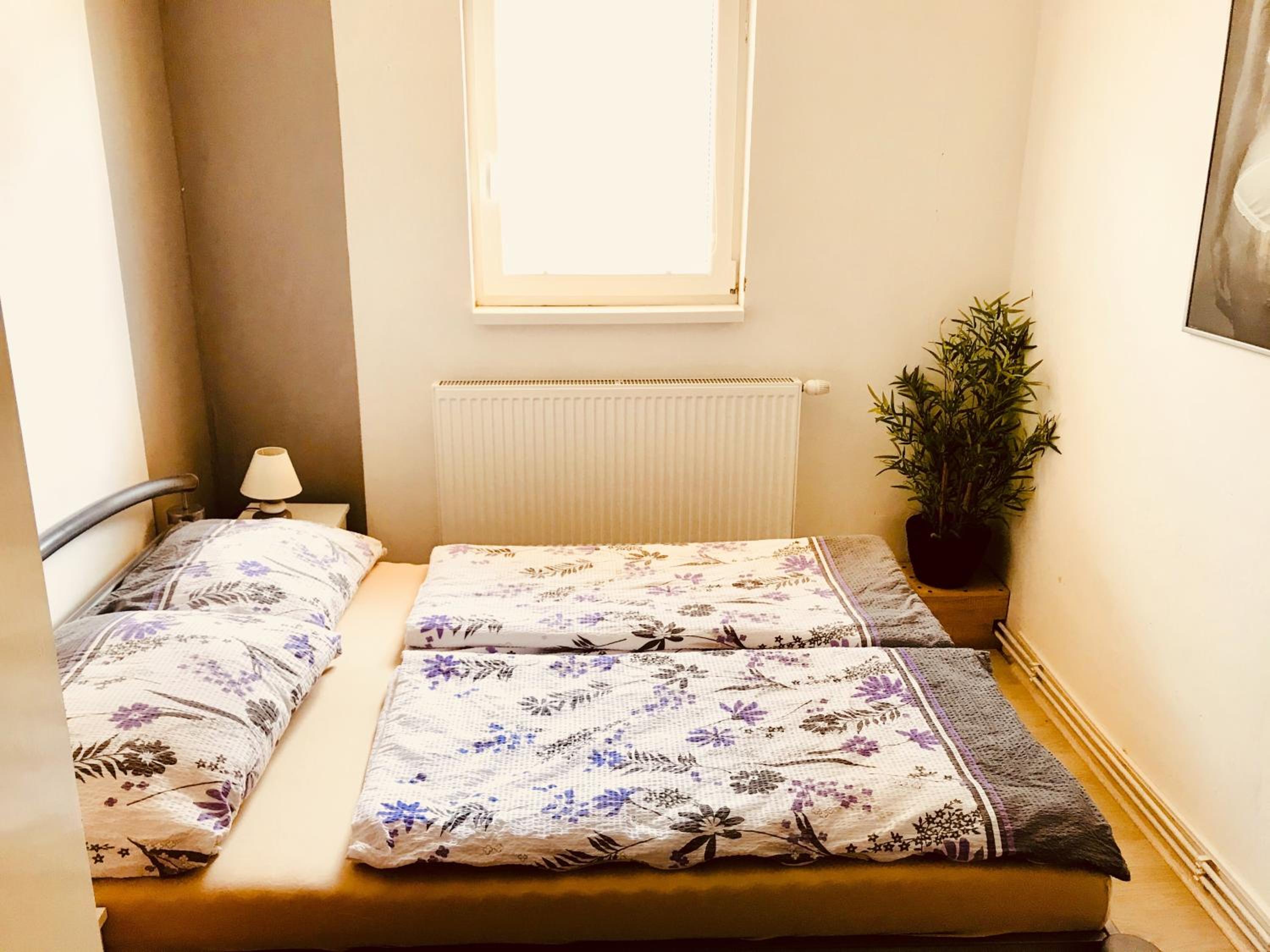 Superior Double Room photo 3