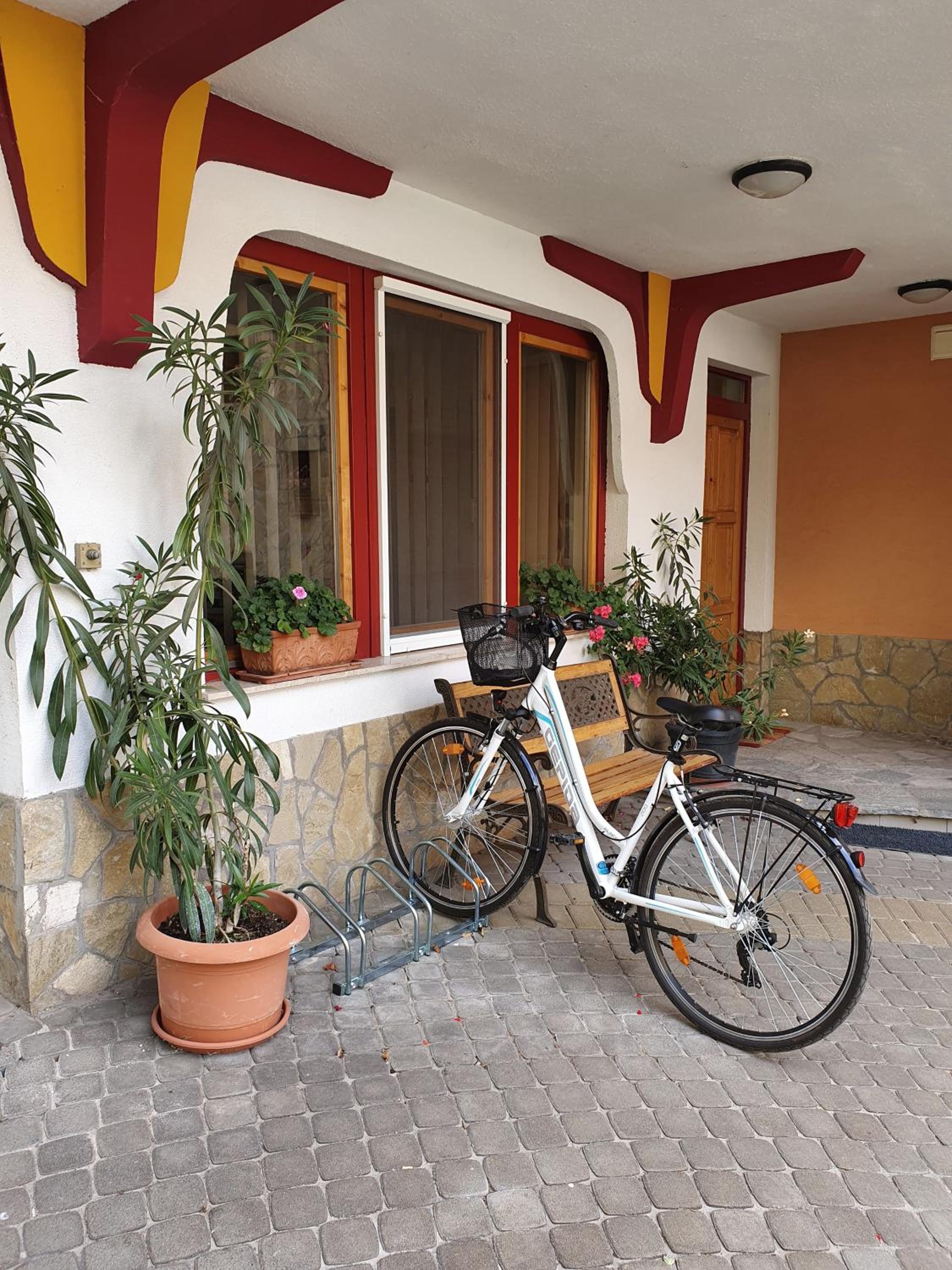 Apartment - Photo 34
