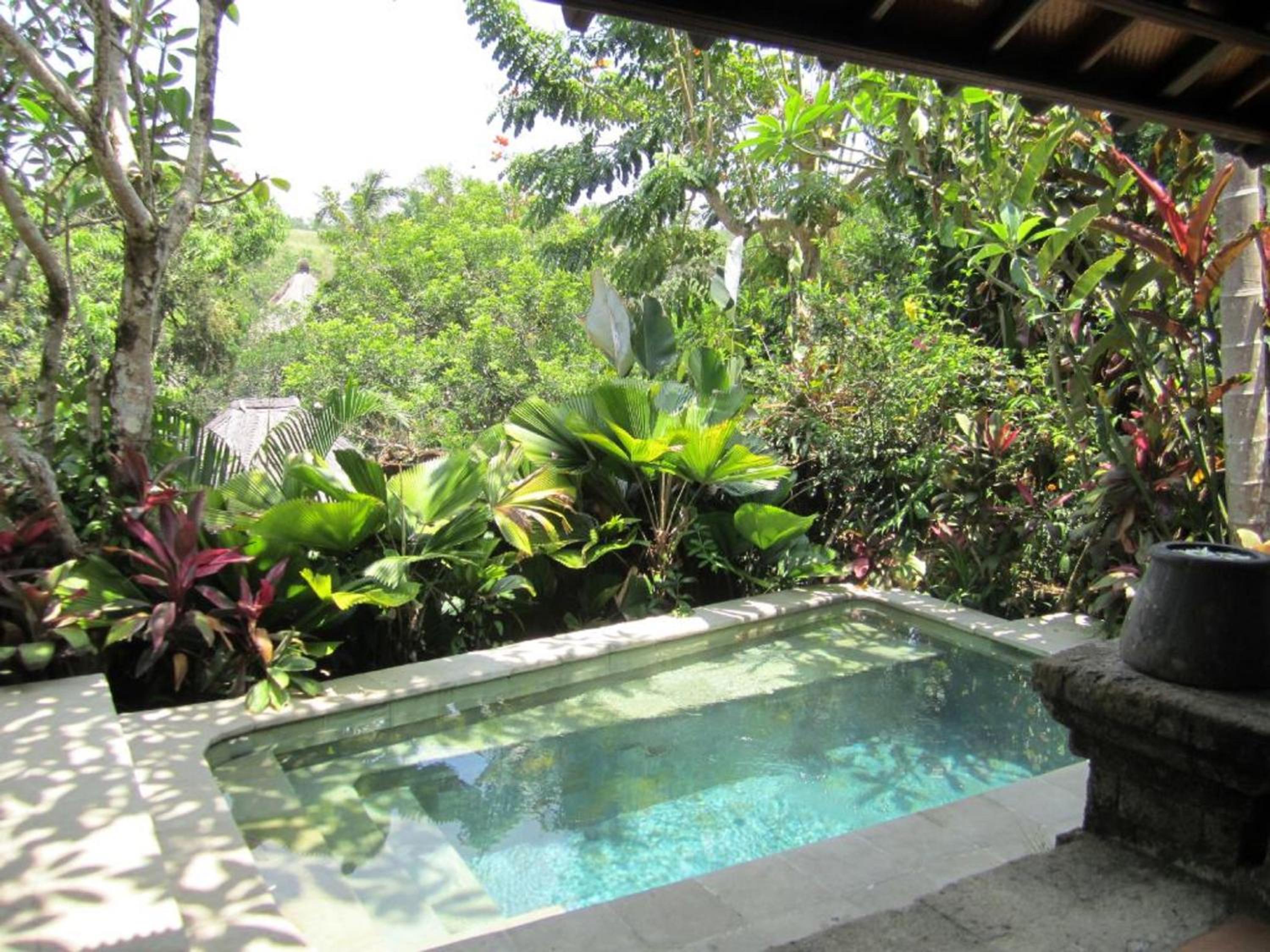 One-Bedroom Villa with Private Pool and Afternoon Tea photo 3