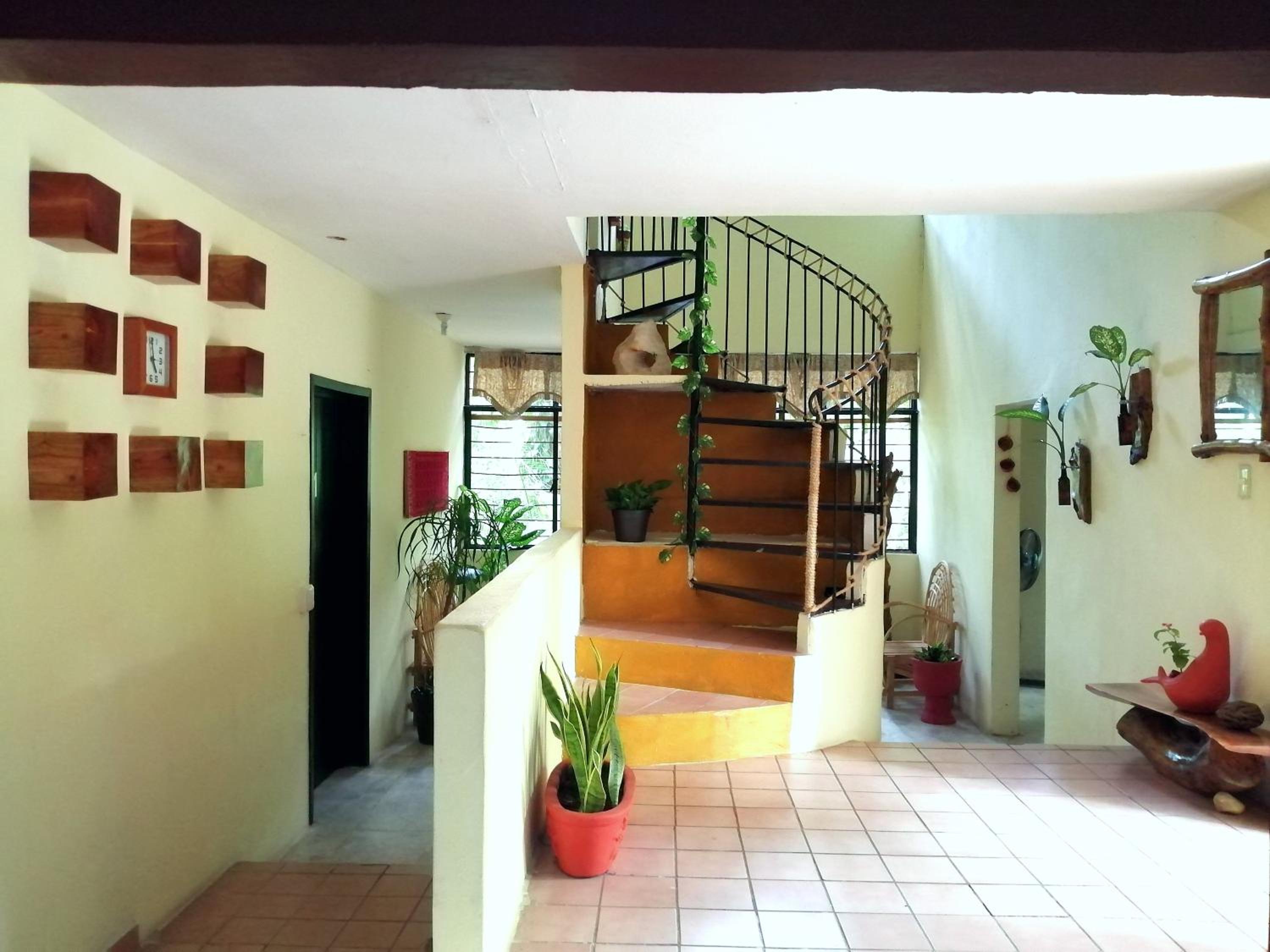 Twin Room - Photo 7